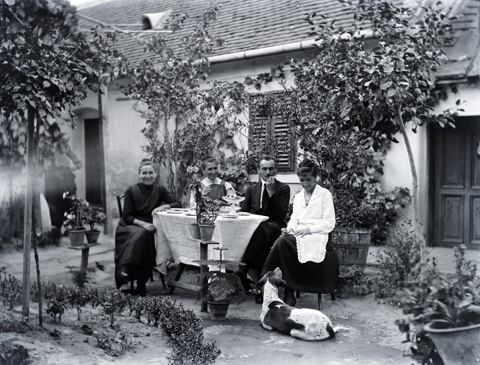 1917, Göcseji Múzeum / Morandini-Schlemmer hagyaték, dog, yard, table, Fortepan #172521