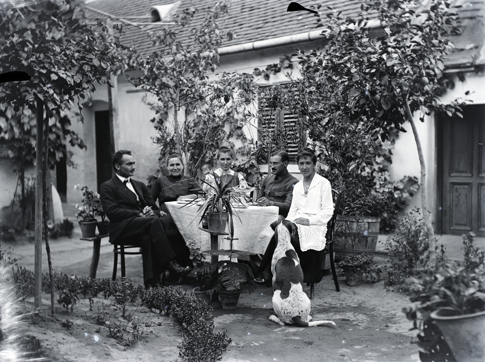 1917, Göcseji Múzeum / Morandini-Schlemmer hagyaték, dog, yard, table, Fortepan #172522