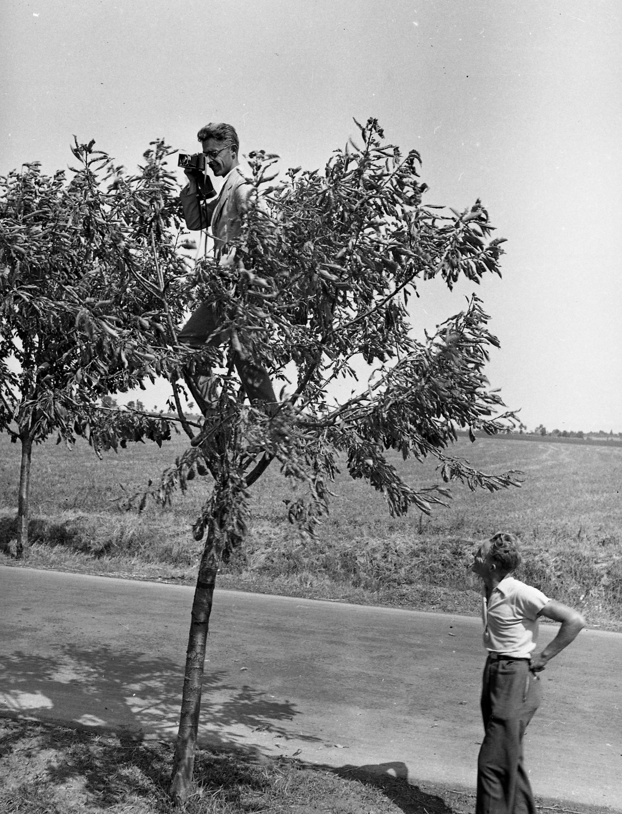 Magyarország, Enying, Alsótekeres-puszta, ekkor az önálló Balatonbozsok község része, ma mindkettő a város része., 1938, Ormos Imre Alapítvány, Ormos Imre, fáramászás, Fortepan #173109