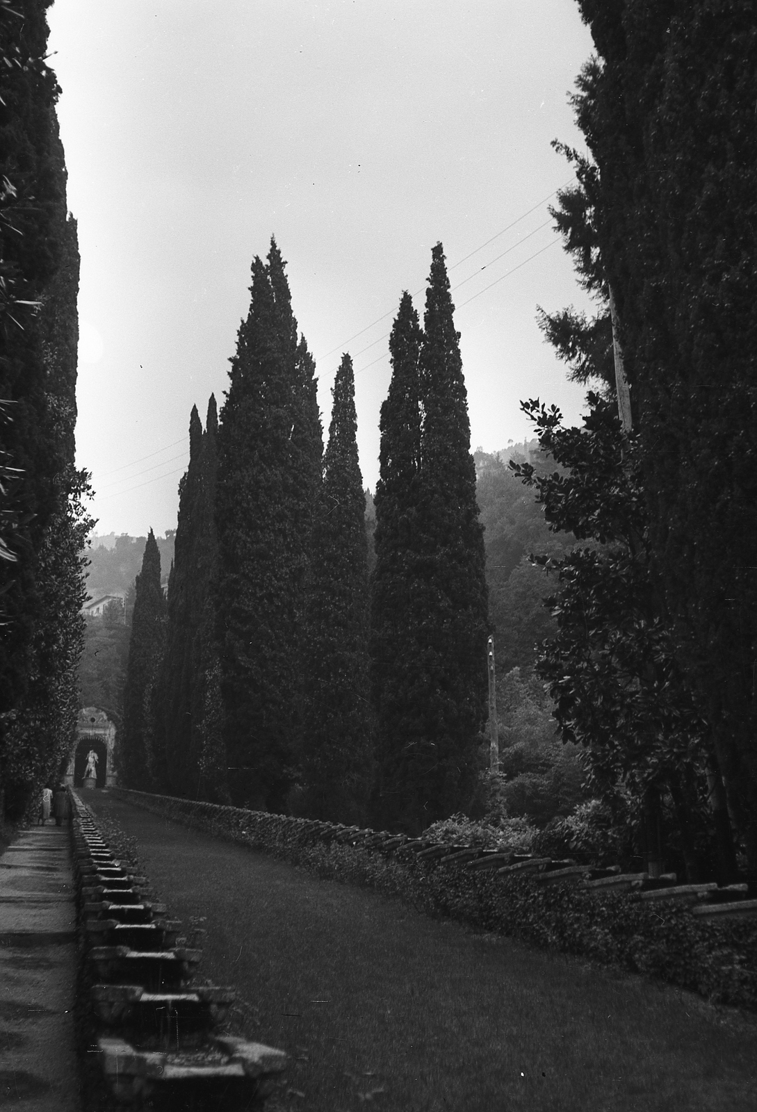 Italy, Cernobbio, a Villa d'Este parkja, a háttérben Herkules és Likhasz szobra (1890)., 1938, Ormos Imre Alapítvány, Ormos Imre, alley, Fortepan #173128