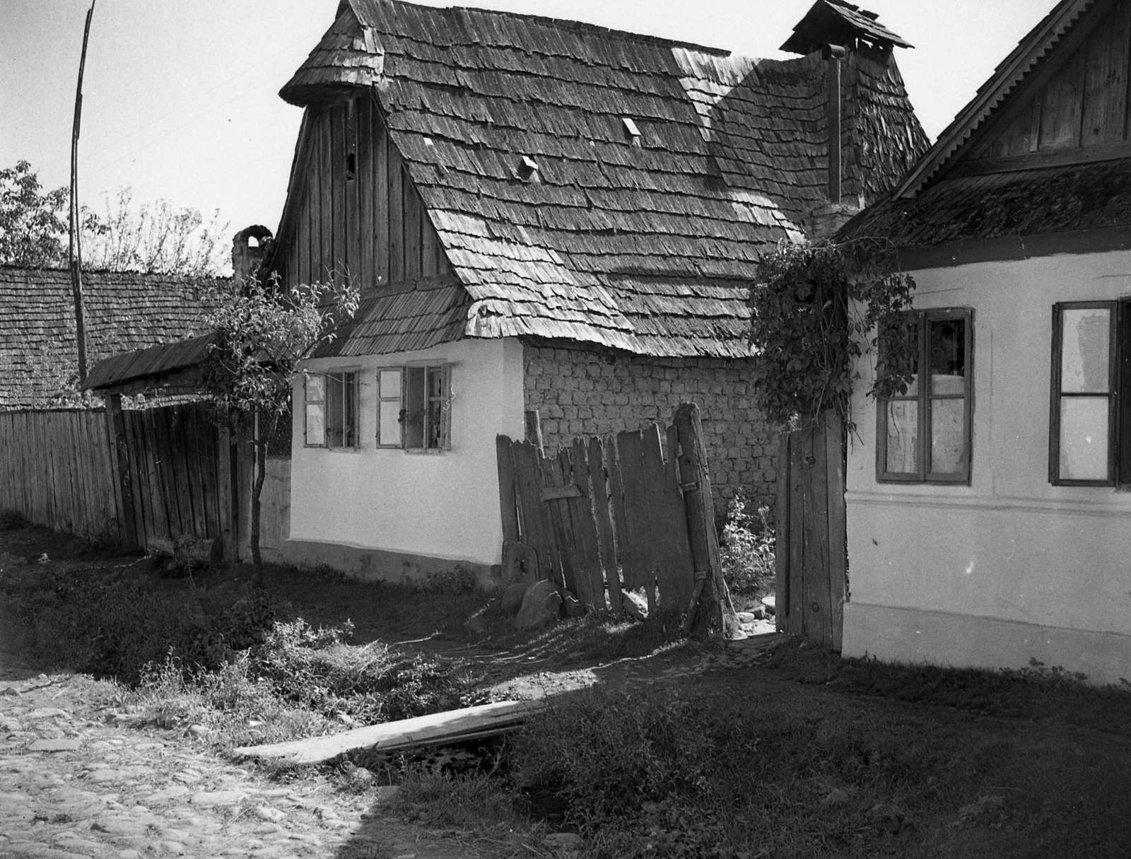 1942, Ormos Imre Alapítvány, Ormos Imre, Fortepan #173130