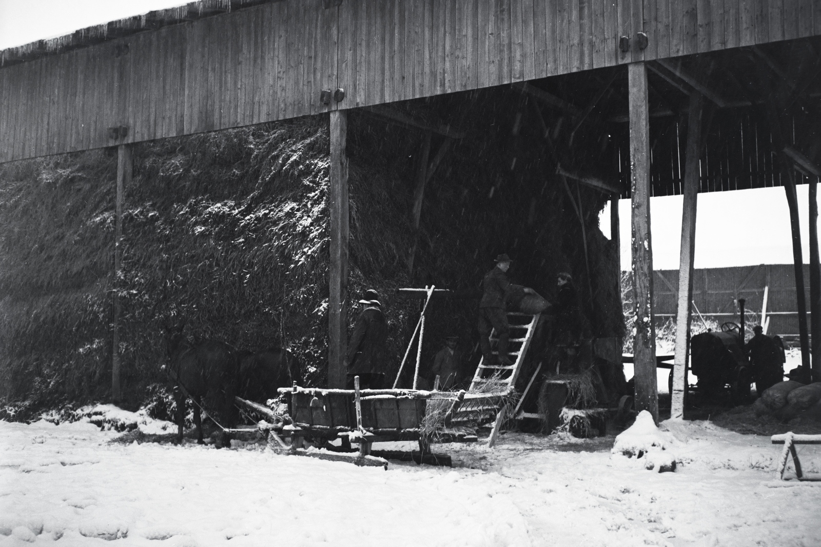 Magyarország, Enying, Alsótekeres-puszta, ekkor az önálló Balatonbozsok község része, ma mindkettő a város része., 1938, Ormos Imre Alapítvány, Ormos Imre, traktor, szán, fészer, hó, csűröskert, Fortepan #173164