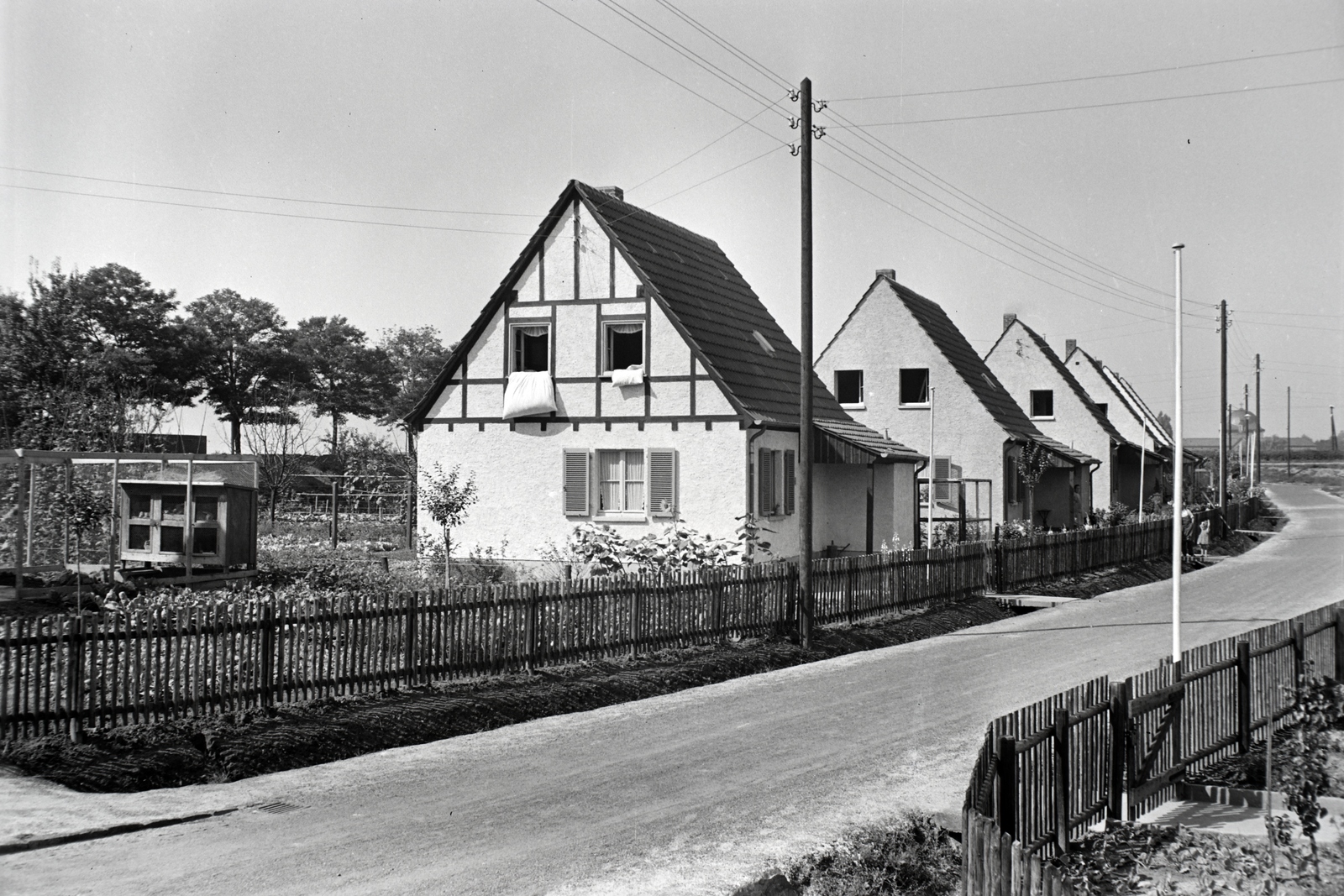 1938, Ormos Imre Alapítvány, Ormos Imre, pen, fence, Fortepan #173226