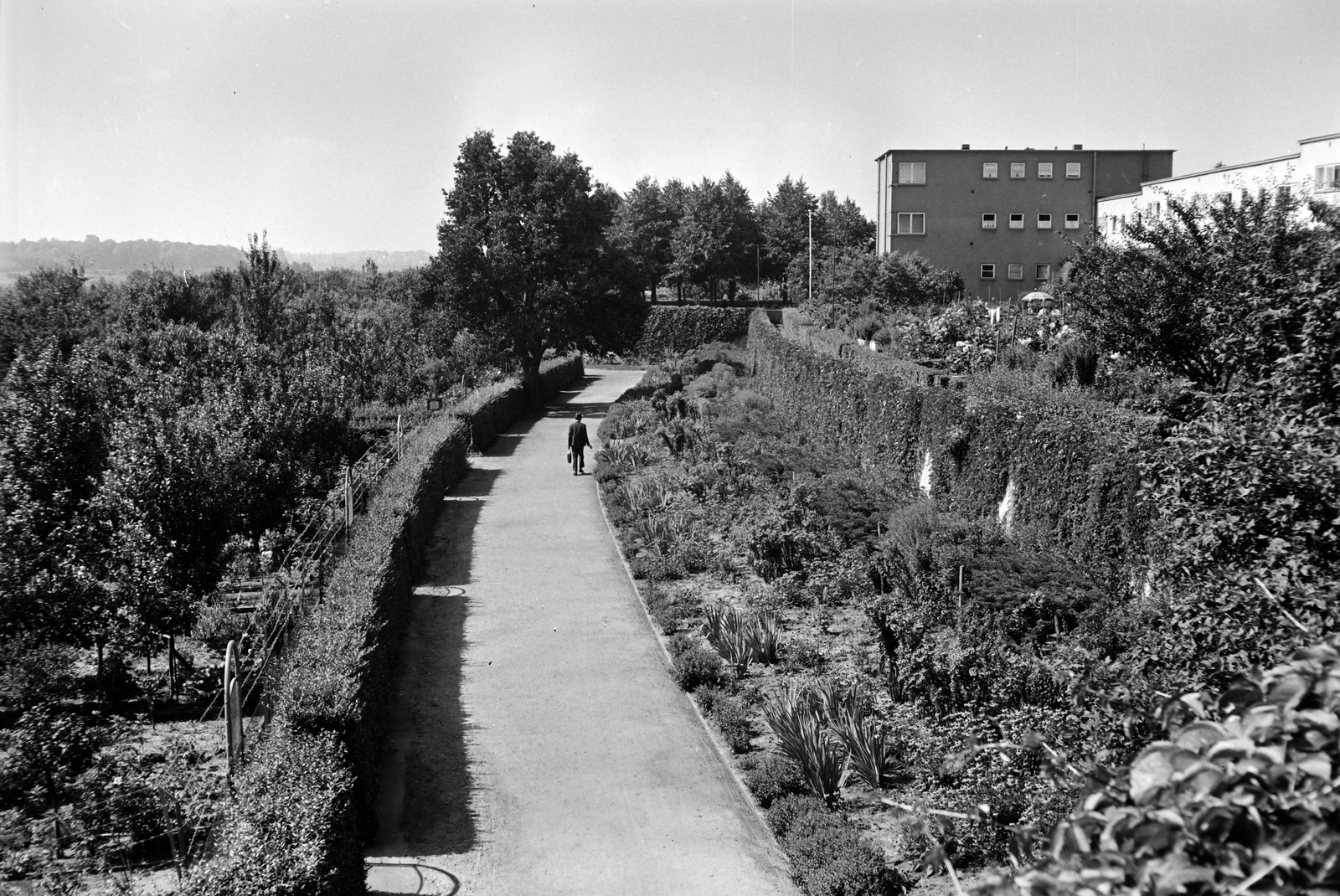 1938, Ormos Imre Alapítvány, Ormos Imre, garden, Fortepan #173237