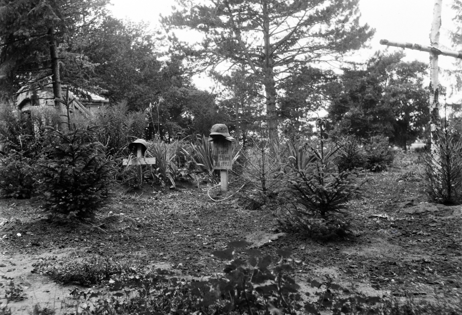 Hungary, Enying, Alsótekeres-puszta, ekkor az önálló Balatonbozsok község része, ma mindkettő a város része., 1945, Ormos Imre Alapítvány, Ormos Imre, war grave, Fortepan #173275