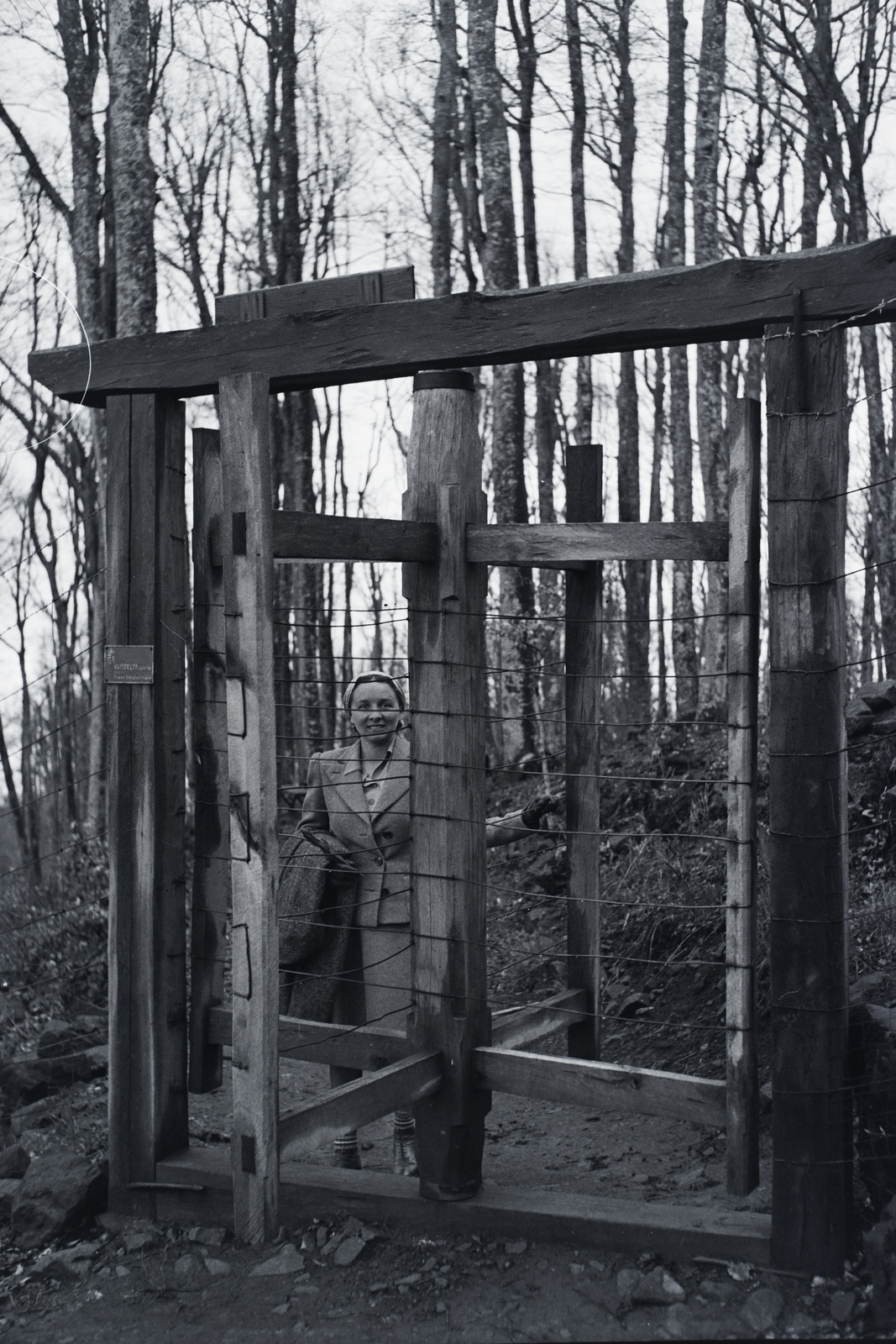 1942, Ormos Imre Alapítvány, Ormos Imre, entrance, woods, chain-link fence, revolving door, lady, half-smile, board, Fortepan #173345