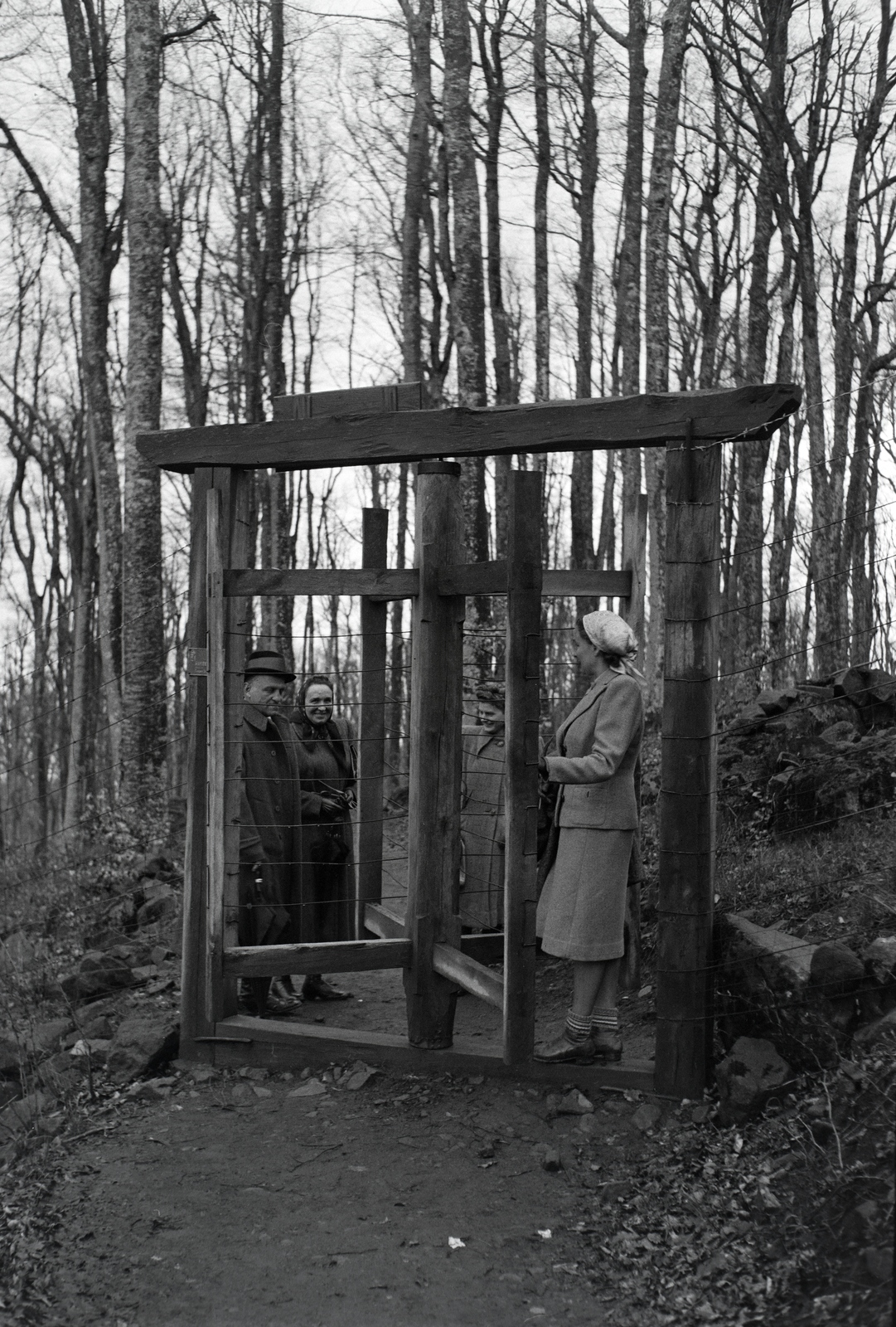 1940, Ormos Imre Alapítvány, Ormos Imre, woods, revolving door, talks, path, excursion, Fortepan #173349