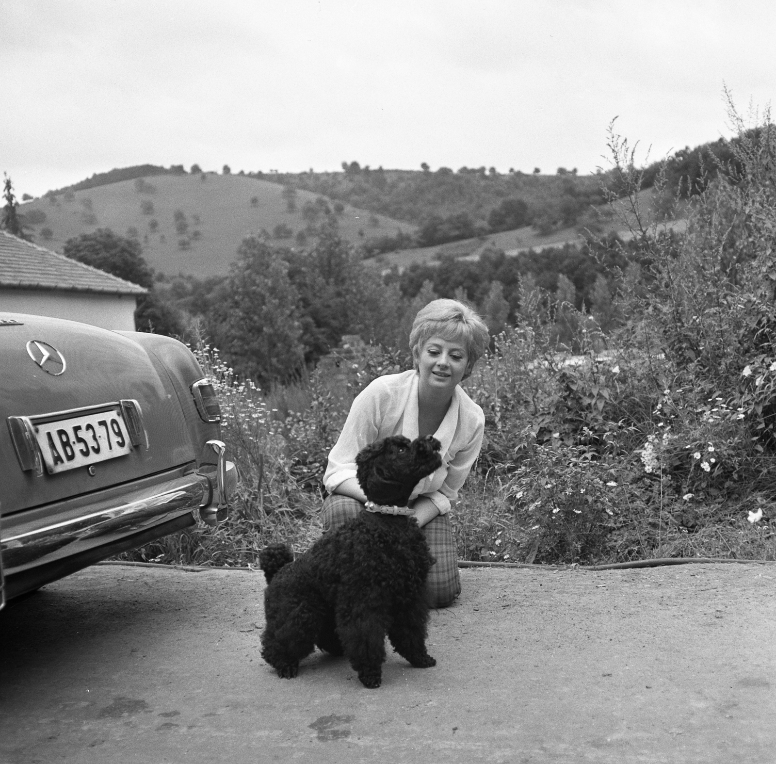 Hungary, Szin, Váradi Hédi színművésznő., 1965, Kotnyek Antal, dog, number plate, Mercedes-brand, landscape, lady, Fortepan #173541