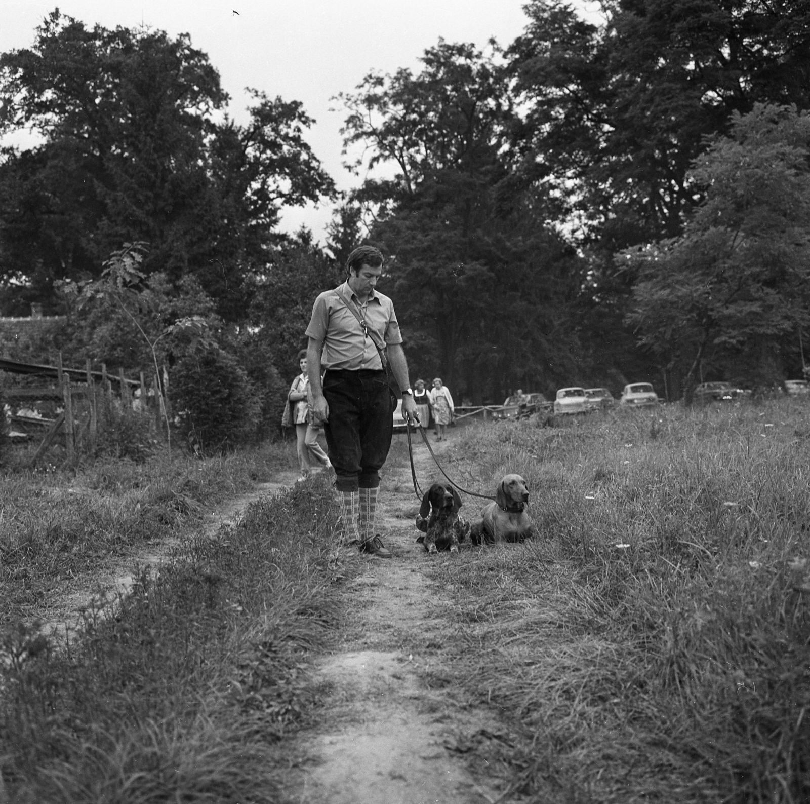 1965, Kotnyek Antal, dog, Fortepan #173722