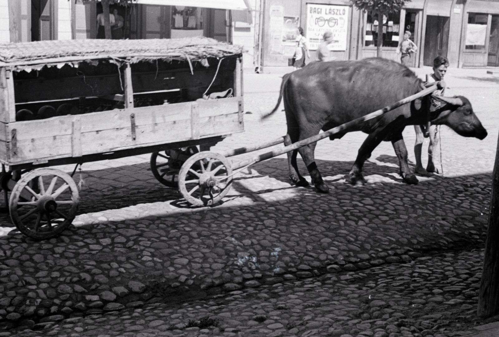 Romania,Transylvania, Ordorheiu Secuiesc, Kossuth Lajos utca, borvízszállító kocsi az 1-es számú ház előtt., 1941, Aszódi Zoltán, coach, buffalo, optician, cobblestones, Fortepan #174151