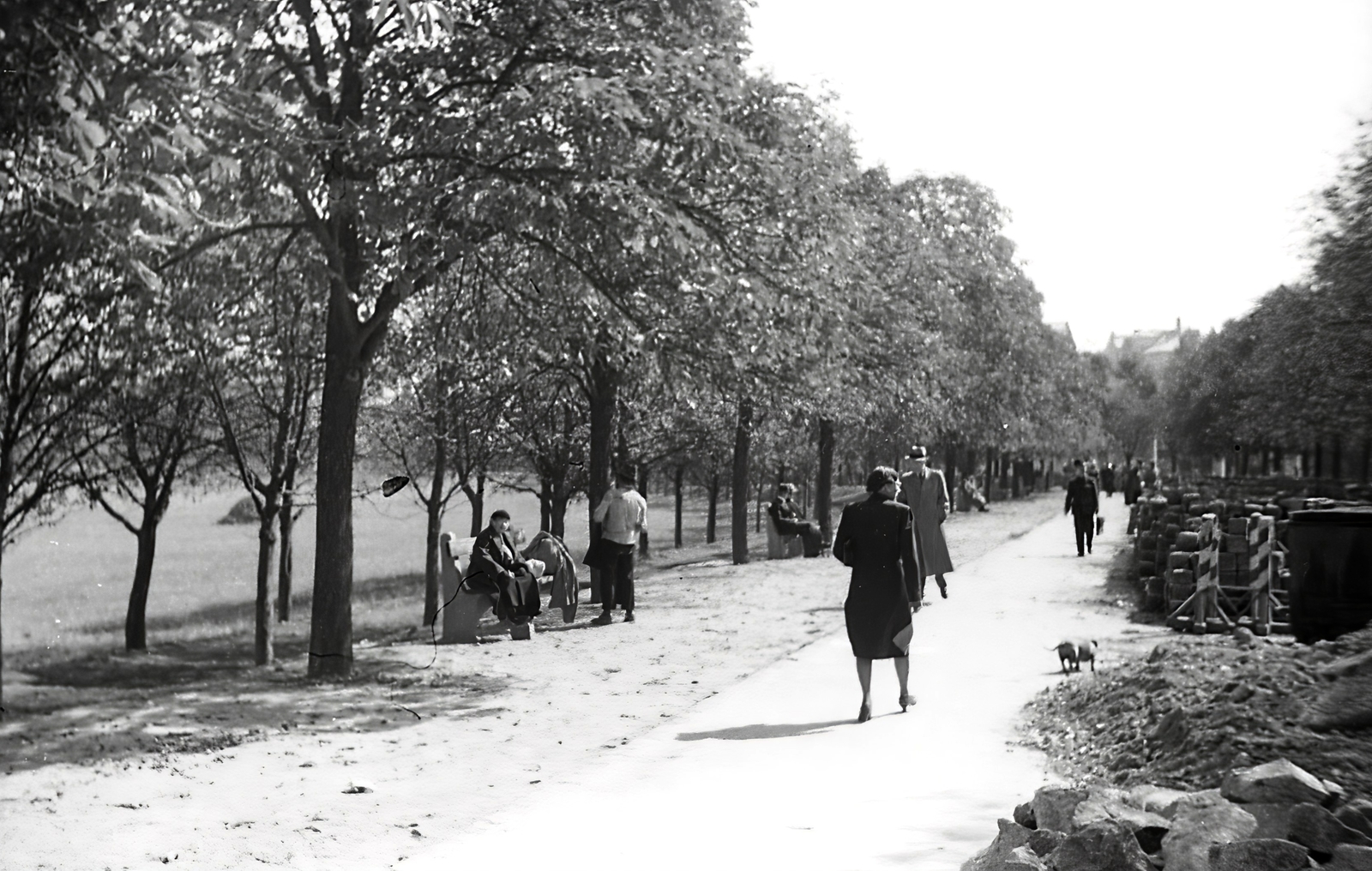 Hungary, Budapest I., Krisztina körút a Déli pályaudvar felől nézve, balra a Vérmező., 1940, Kellner Ludwig, Budapest, Fortepan #174335