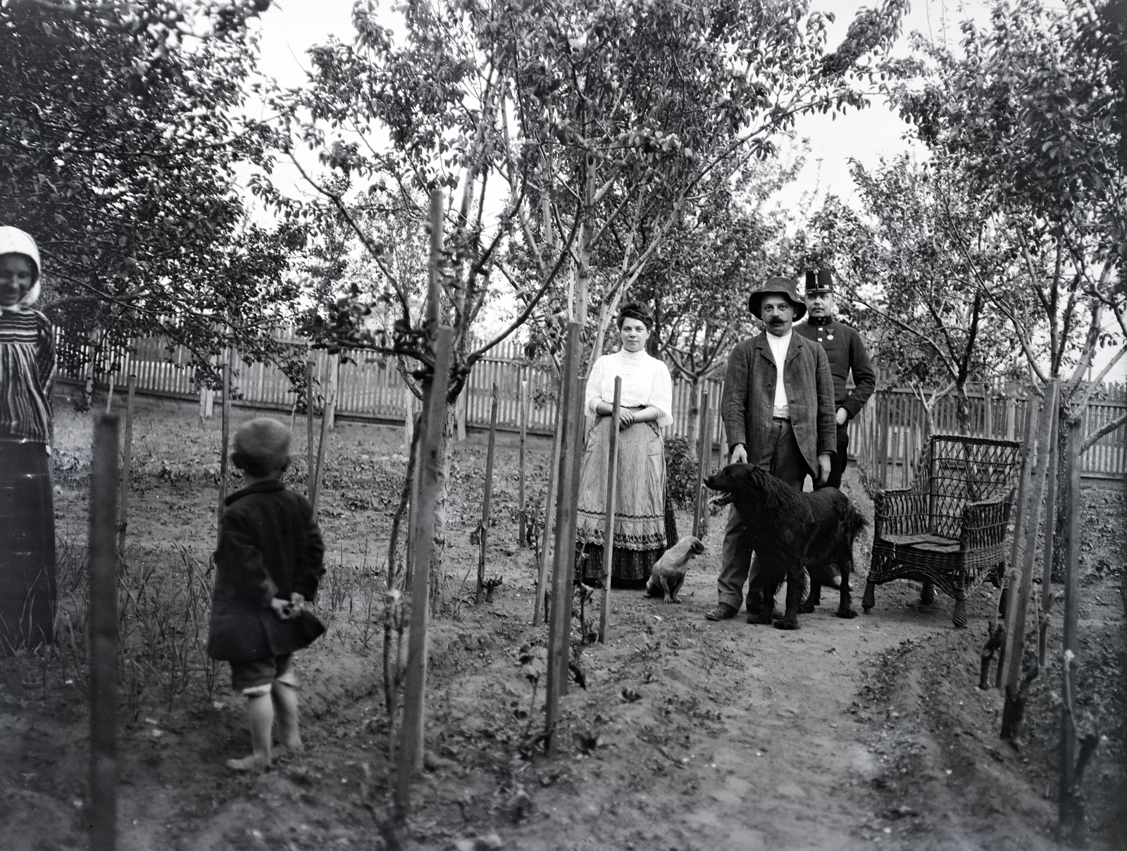1911, Ladinek Viktor, family, dog, wicker chair, garden, Fortepan #174432