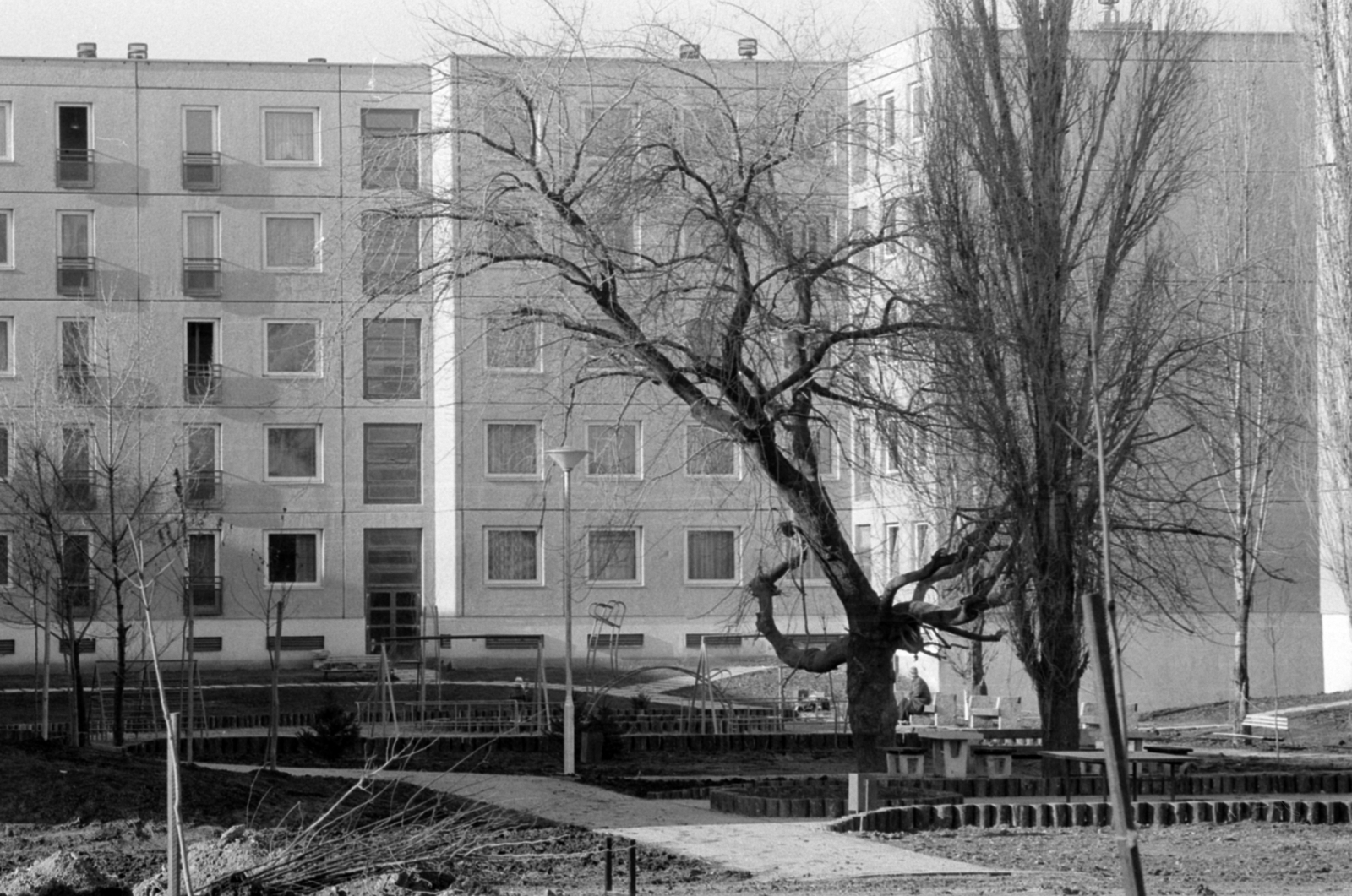 Hungary, Budapest III., Kaszásdűlő lakótelep, a Szérűskert utca 7. számú ház hátsó frontja., 1985, Péterffy István, Budapest, Fortepan #174524