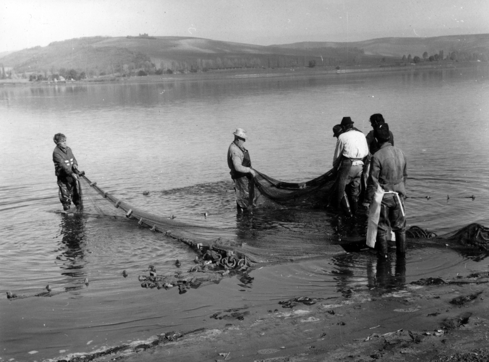 1962, Sütő András örökösei, Új Élet szerkesztőség, fishing net, Fortepan #174641