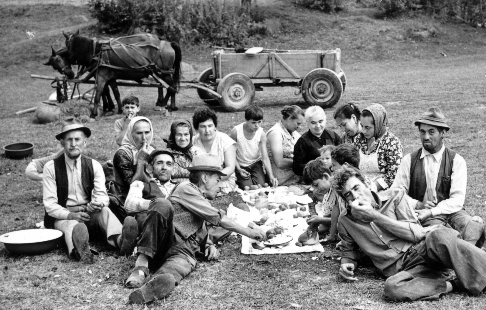 Romania,Transylvania, Pálpataka, 1970, Sütő András örökösei, Új Élet szerkesztőség, tableau, Horse-drawn carriage, picnic, Fortepan #174721
