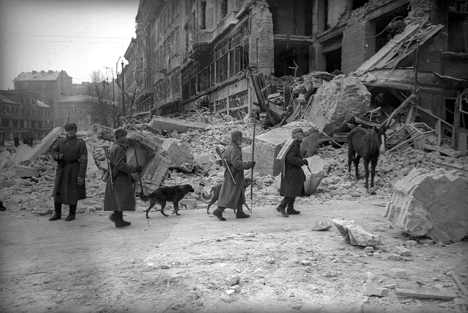 Hungary, Budapest V.,Budapest IX., Kálvin tér a Kecskeméti utca torkolatától a Vámház körút felé nézve, jobbra a Pintér-ház romjai., 1945, Vörös Hadsereg, Budapest, war damage, Soviet soldier, horse, dog, sapper, Fortepan #175264