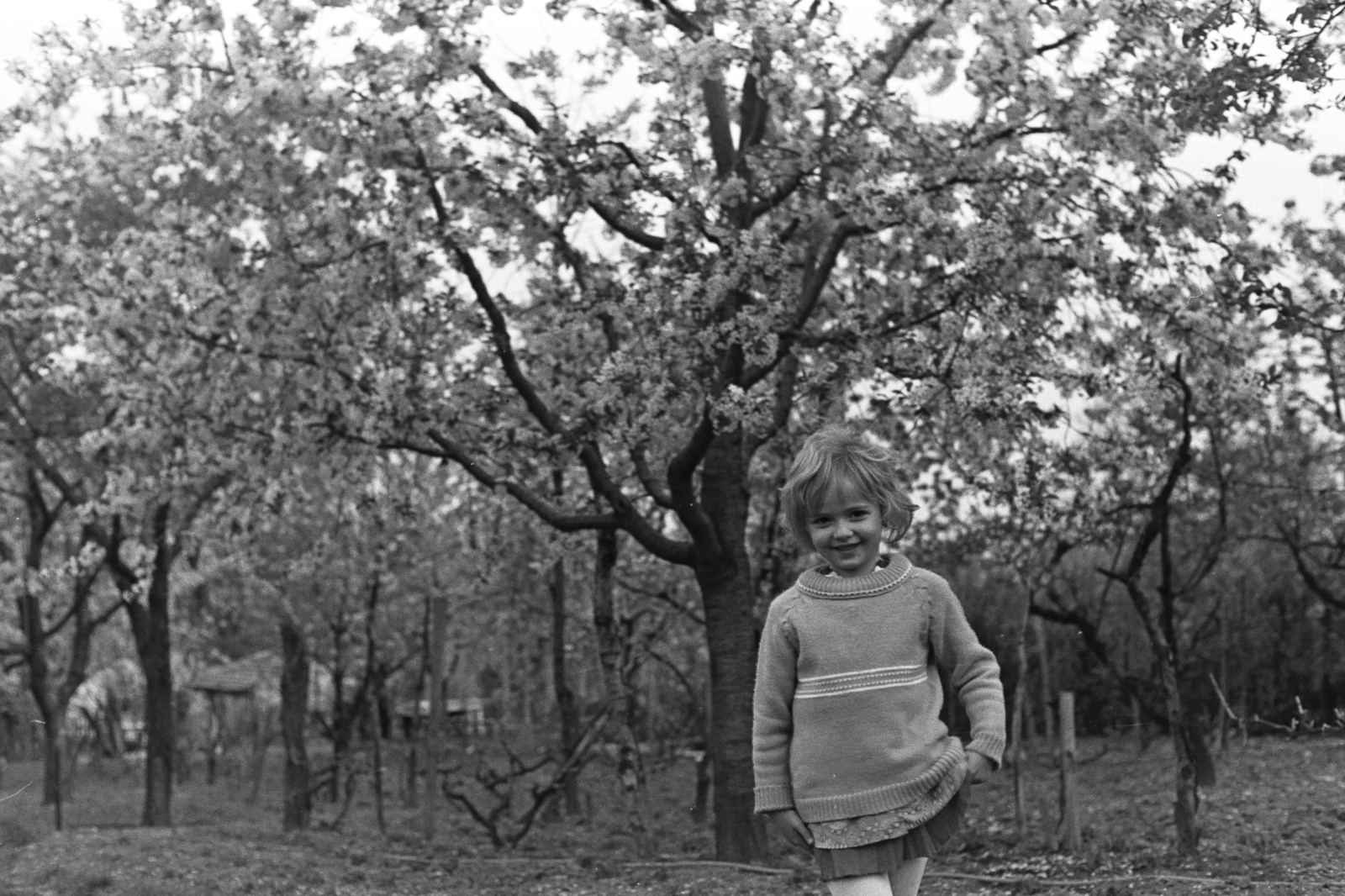 1962, Chuckyeager tumblr, kid, smile, wood, Fortepan #175381