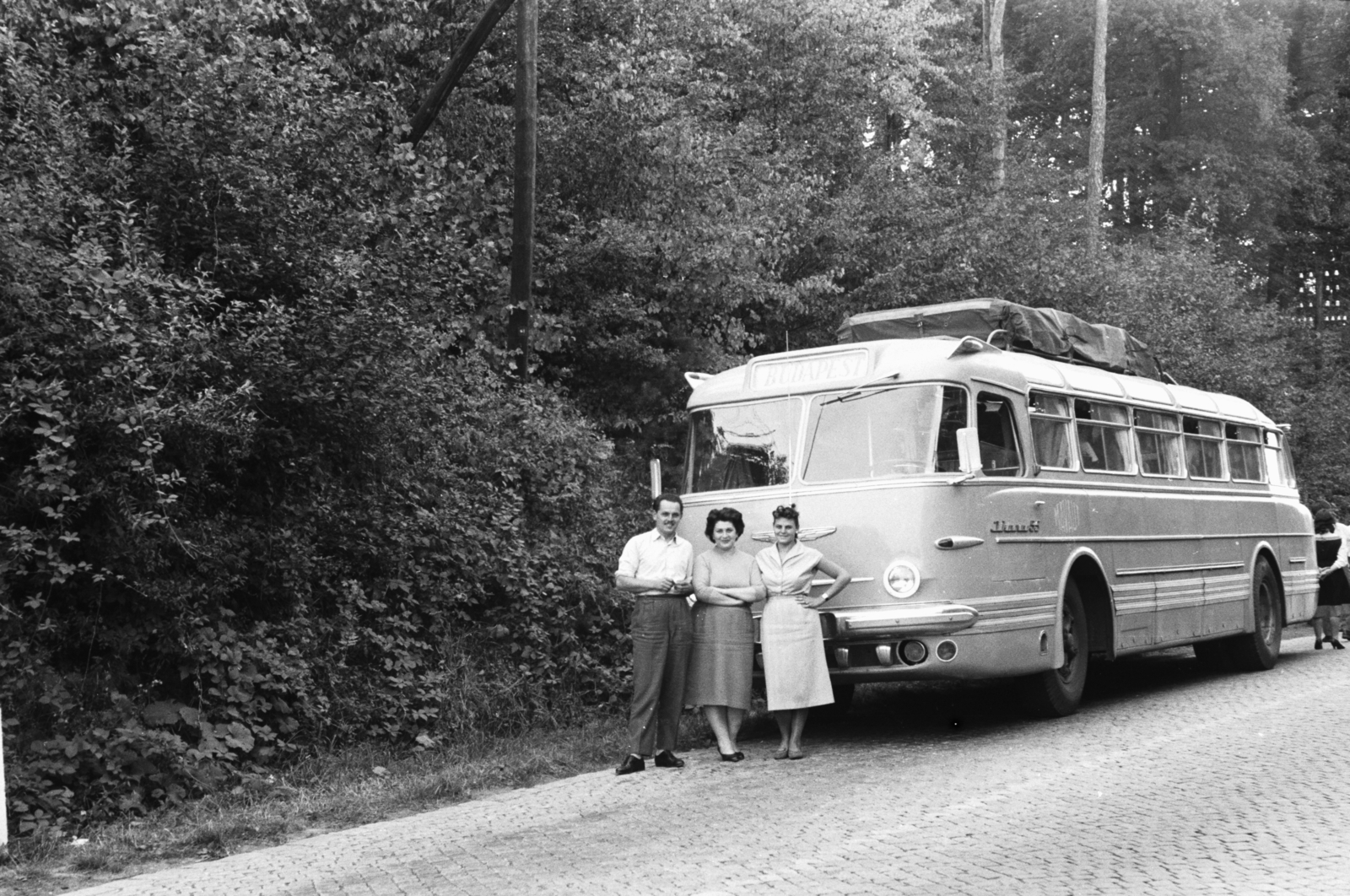 1960, Chuckyeager tumblr, bus, Ikarus-brand, Fortepan #175617
