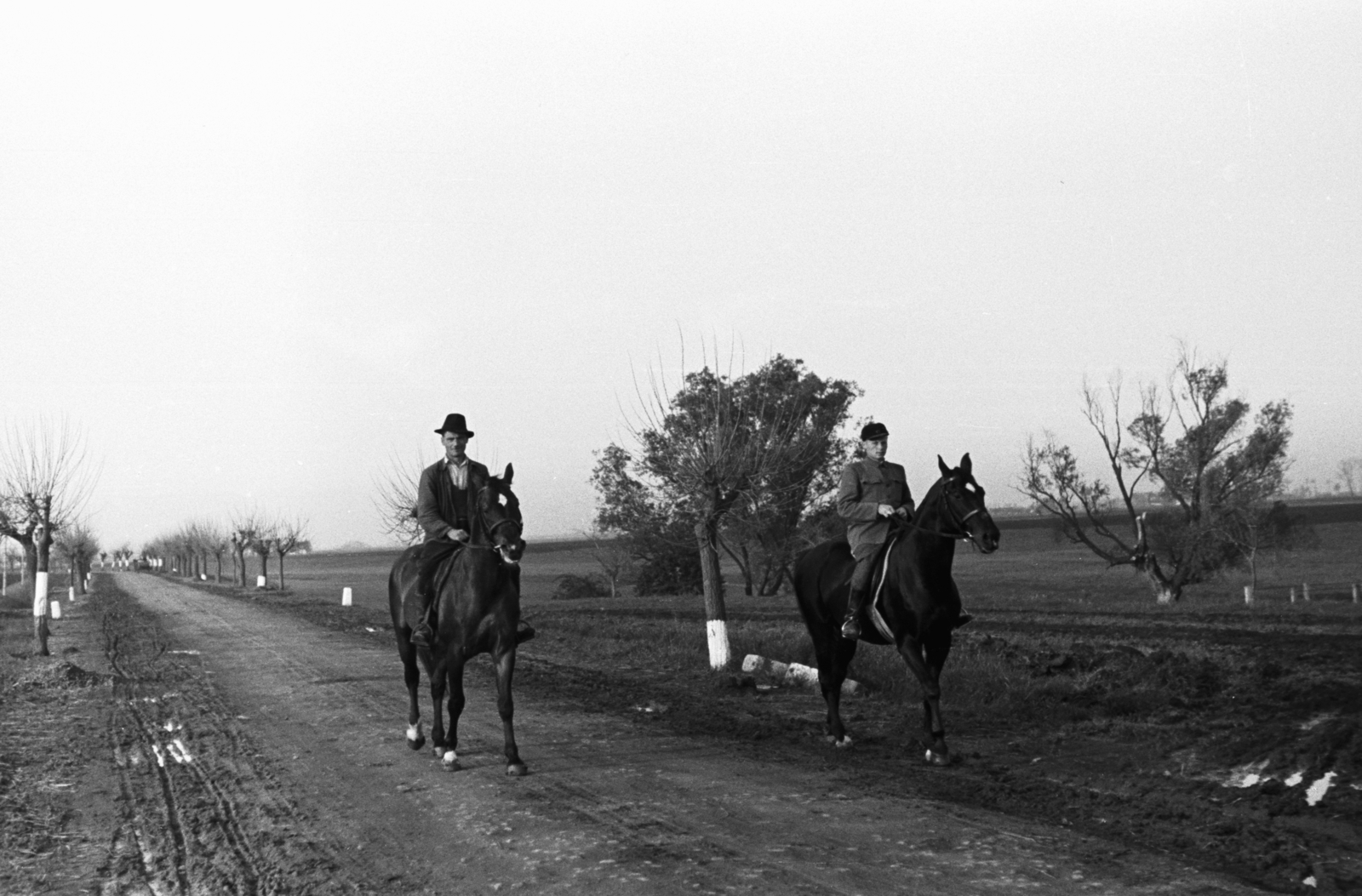 1955, Chuckyeager tumblr, dirt road, rider, Fortepan #175722