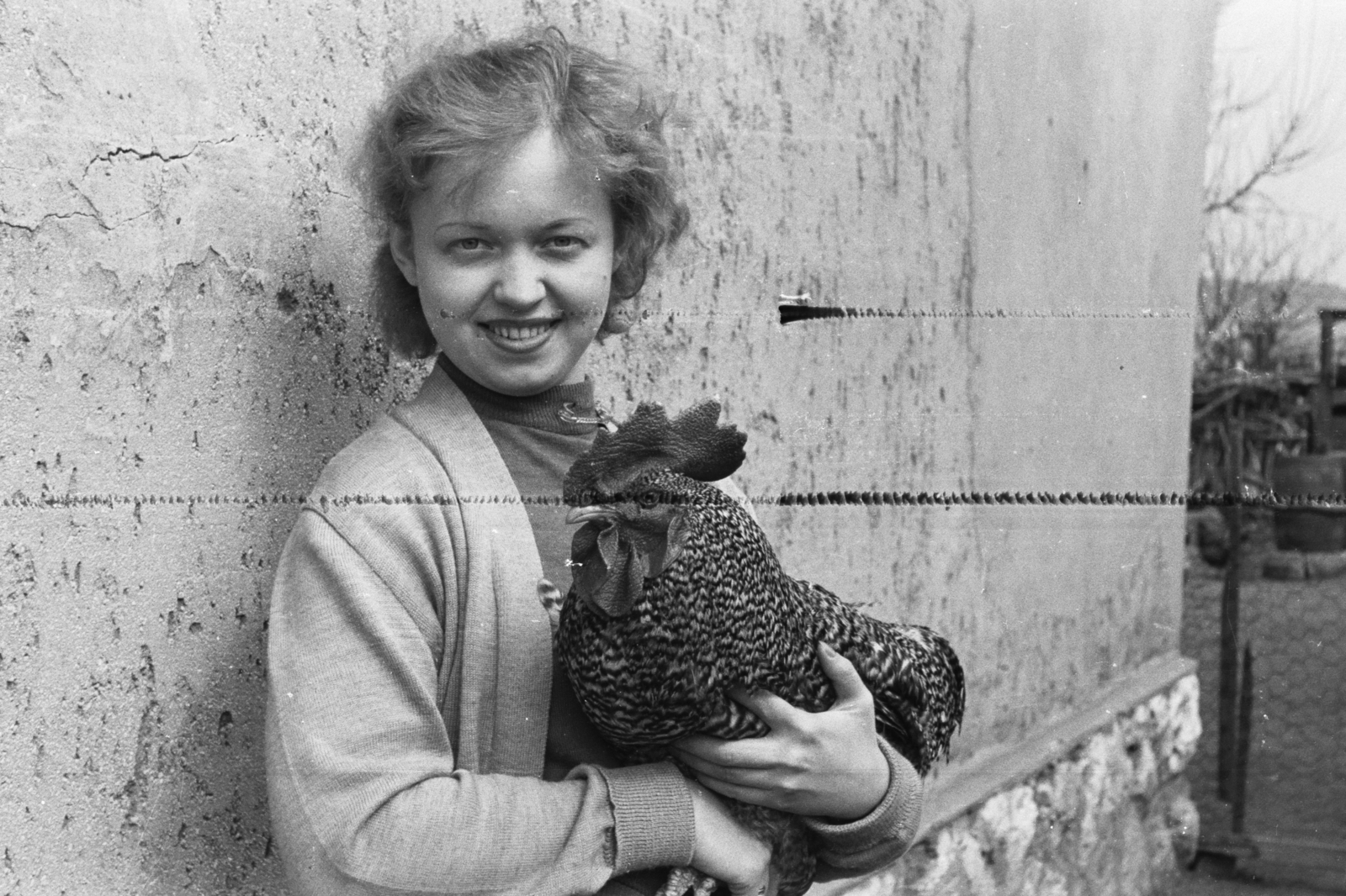 1966, Chuckyeager tumblr, poultry, Fortepan #175730