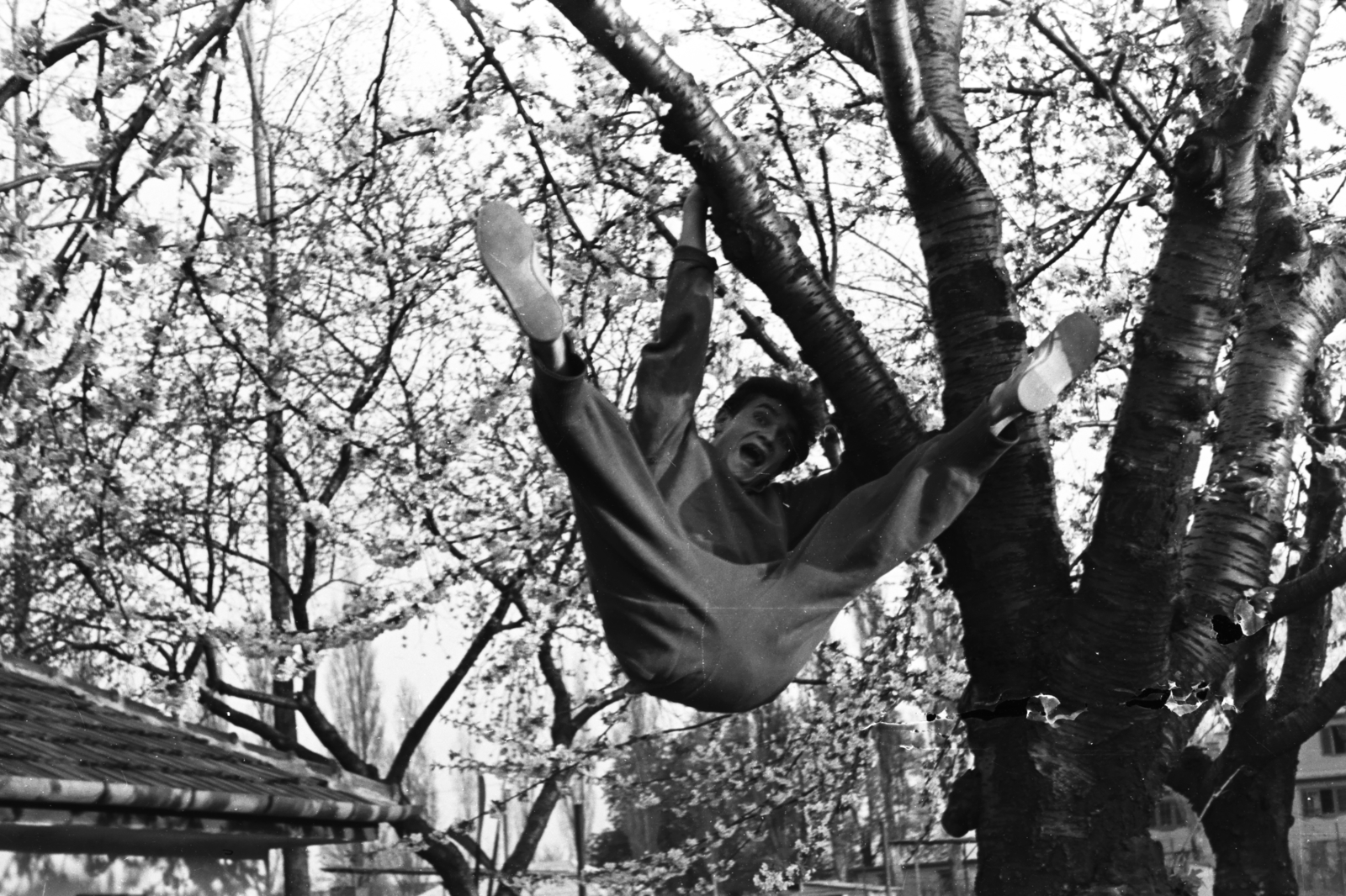 1959, Chuckyeager tumblr, accident, acrobatics, Fortepan #176038