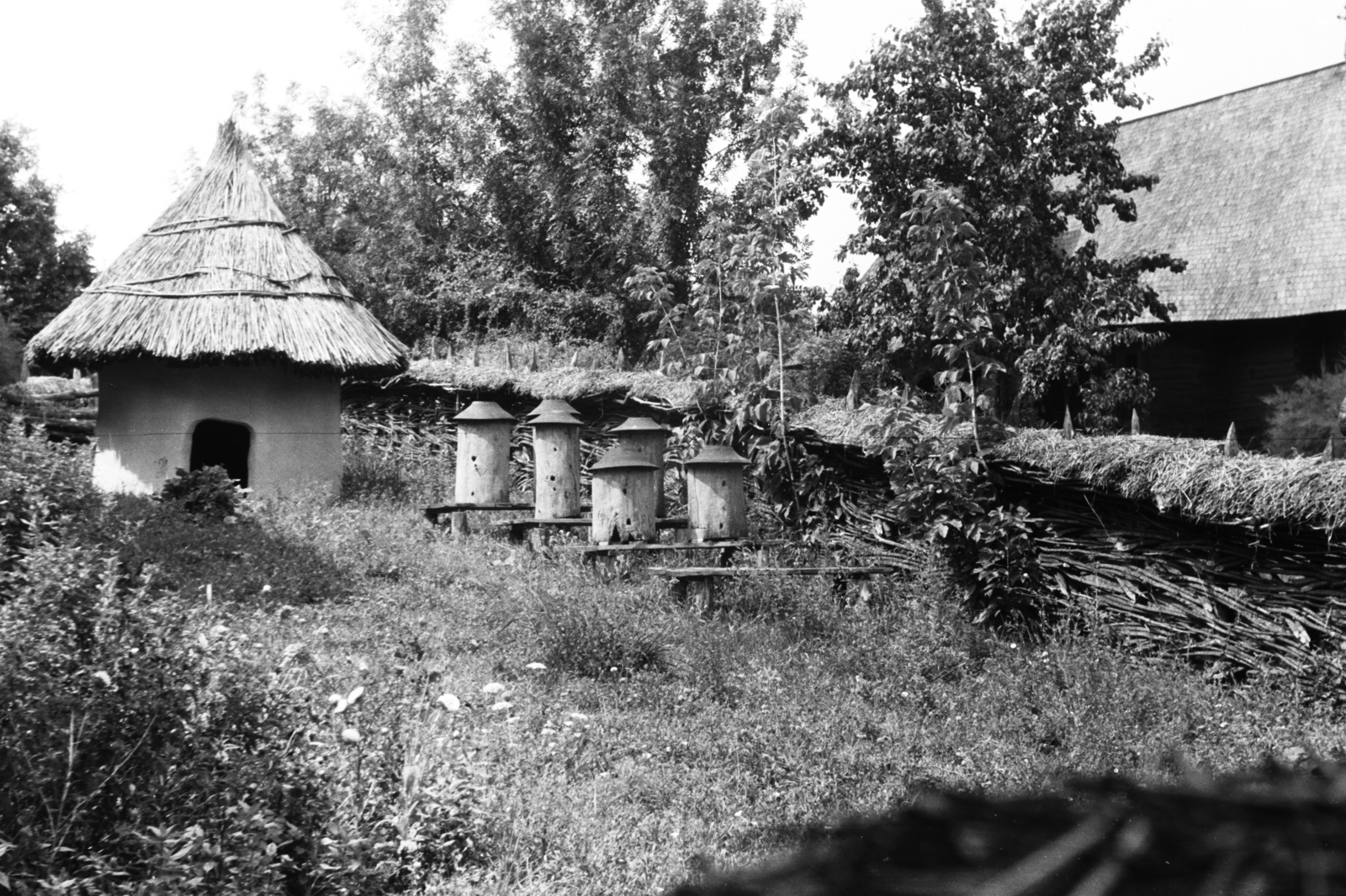1955, Chuckyeager tumblr, kaptár, méhészet, Fortepan #176264