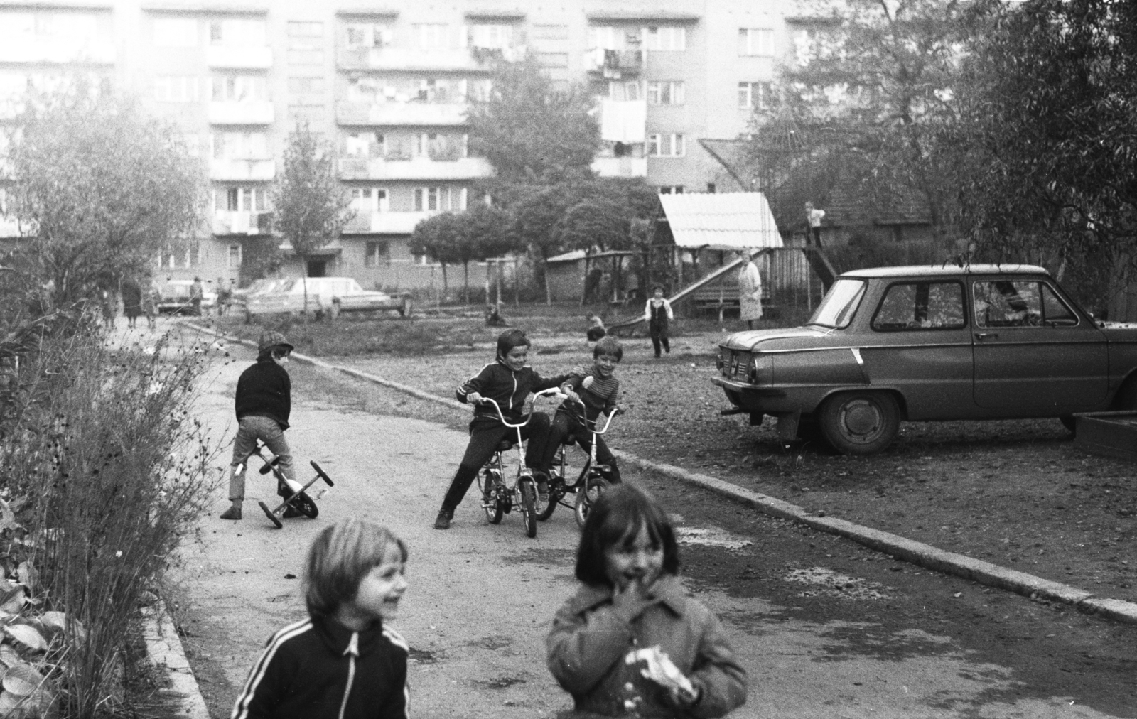 1978, Chuckyeager tumblr, bicycle, dog, kids, Zaporozhetz-brand, Fortepan #176436