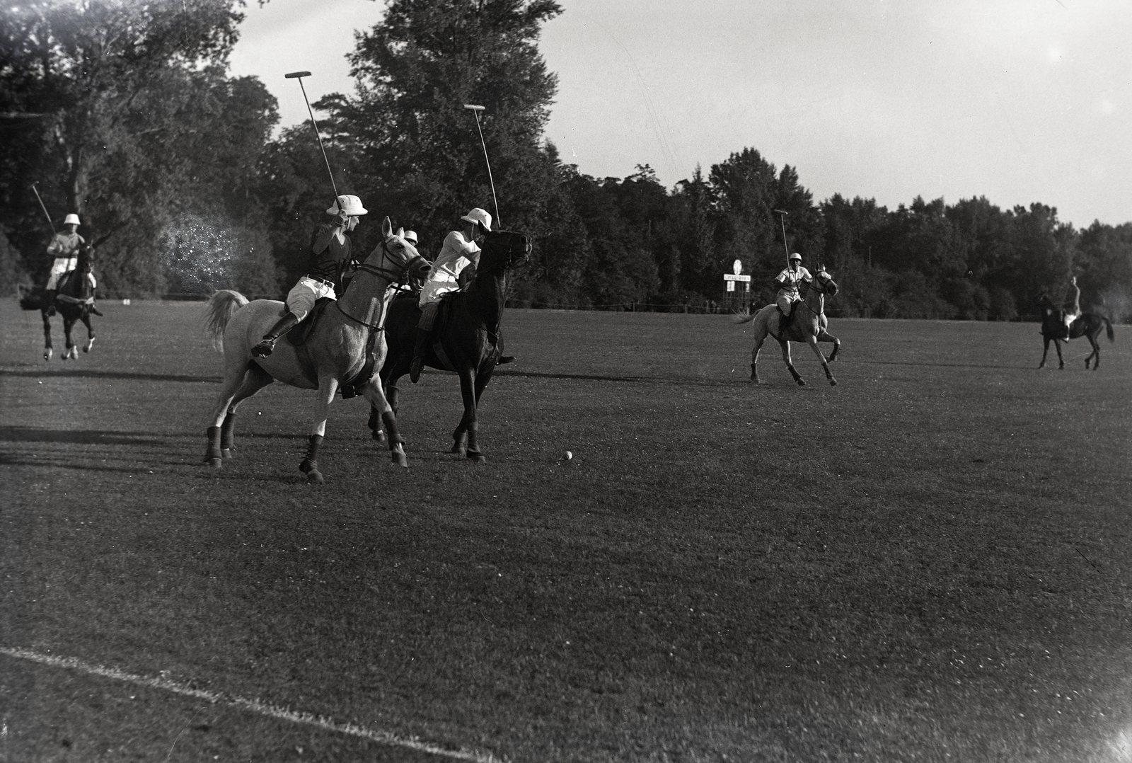 1938, Bojár Sándor, horse, equestrian sports, Fortepan #177059