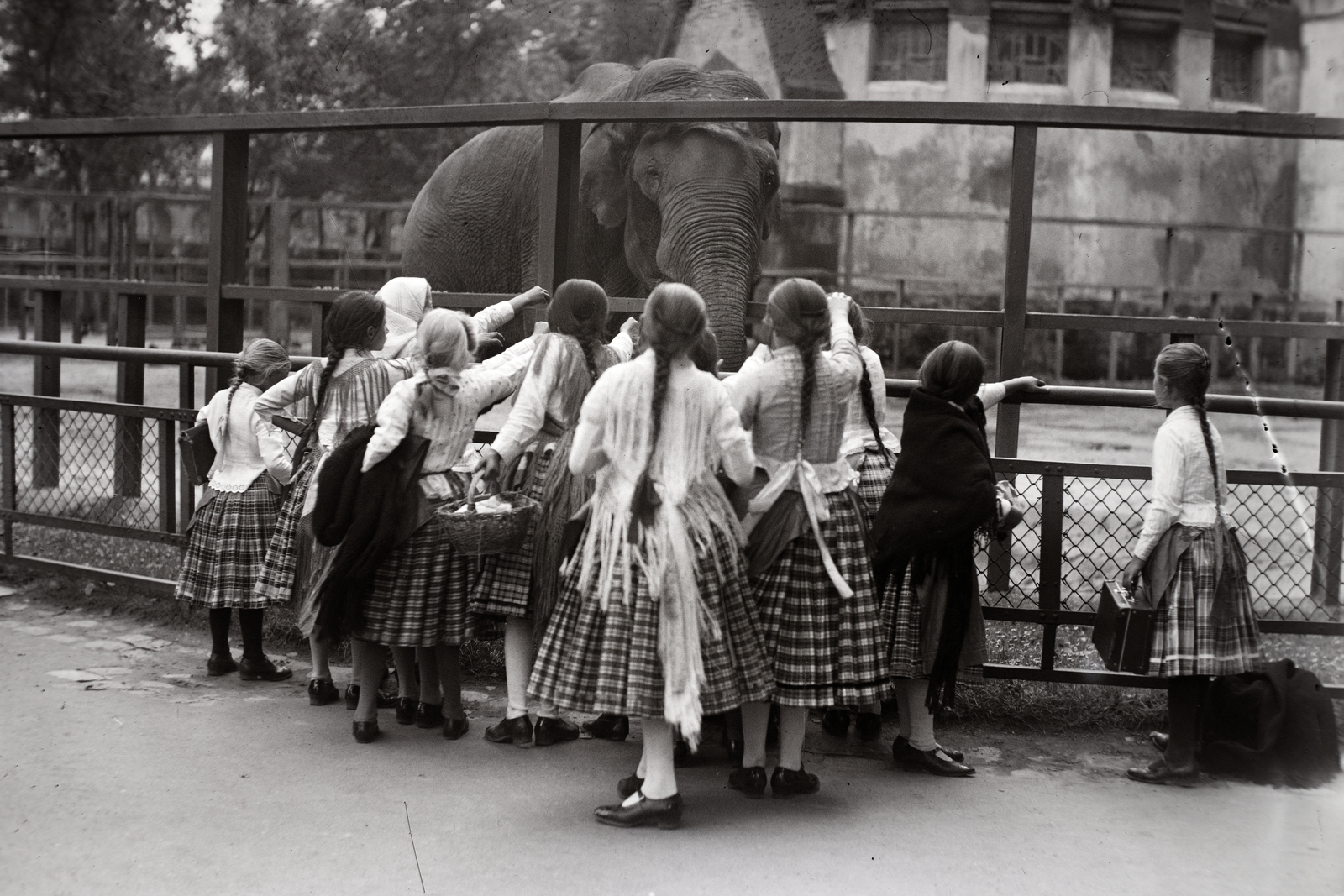 Hungary, Zoo, Budapest XIV., 1937, Bojár Sándor, zoo, Budapest, elephant, folk costume, back, Fortepan #177120