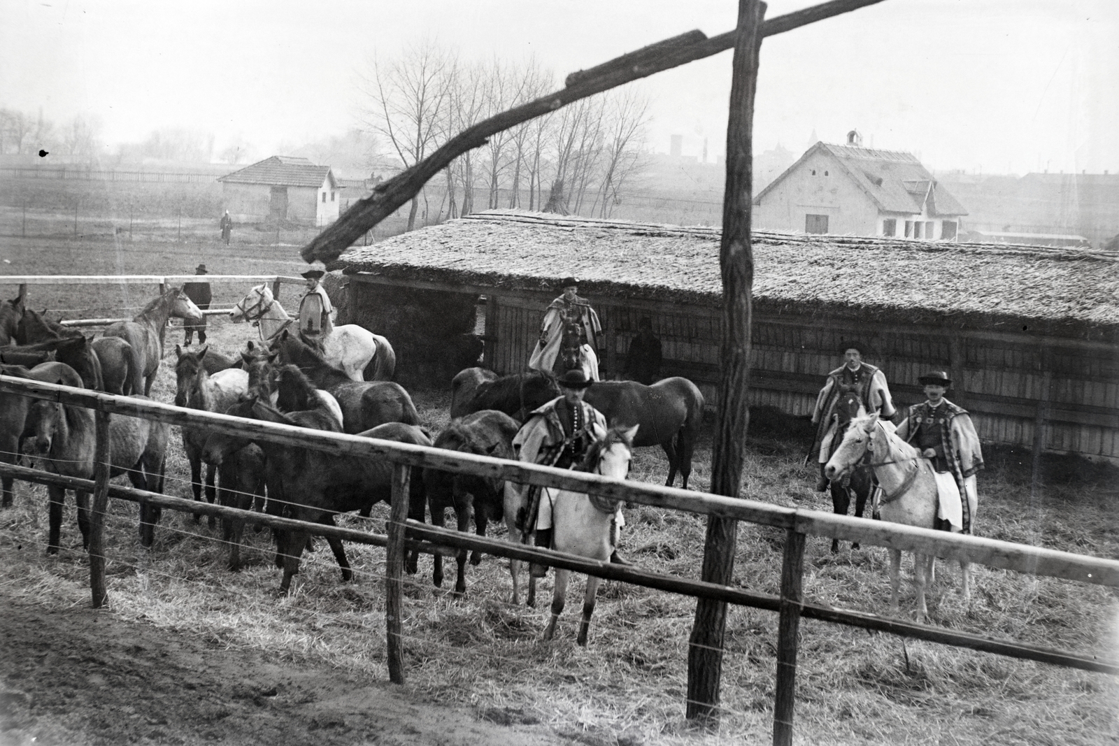 1939, Bojár Sándor, shadoof, wrangler, herd, Fortepan #177303