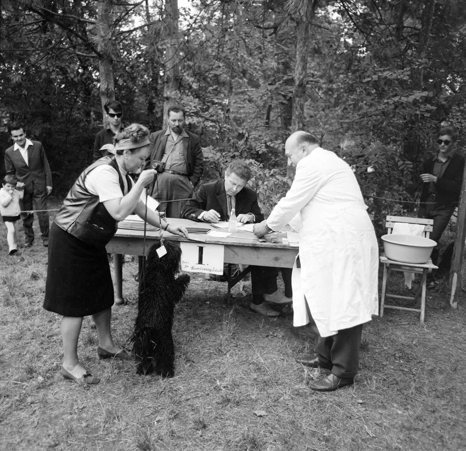 1965, Bojár Sándor, dog, Fortepan #177512