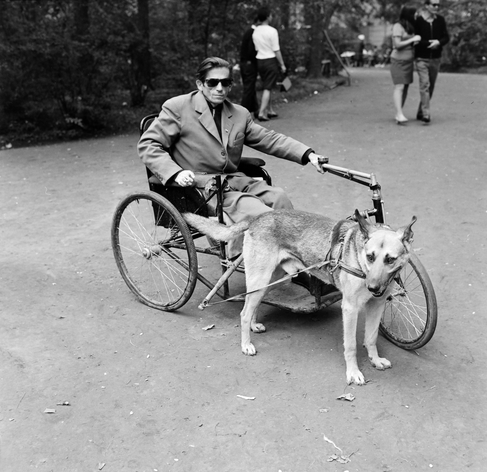 1965, Bojár Sándor, dog, invalid car, Fortepan #177513