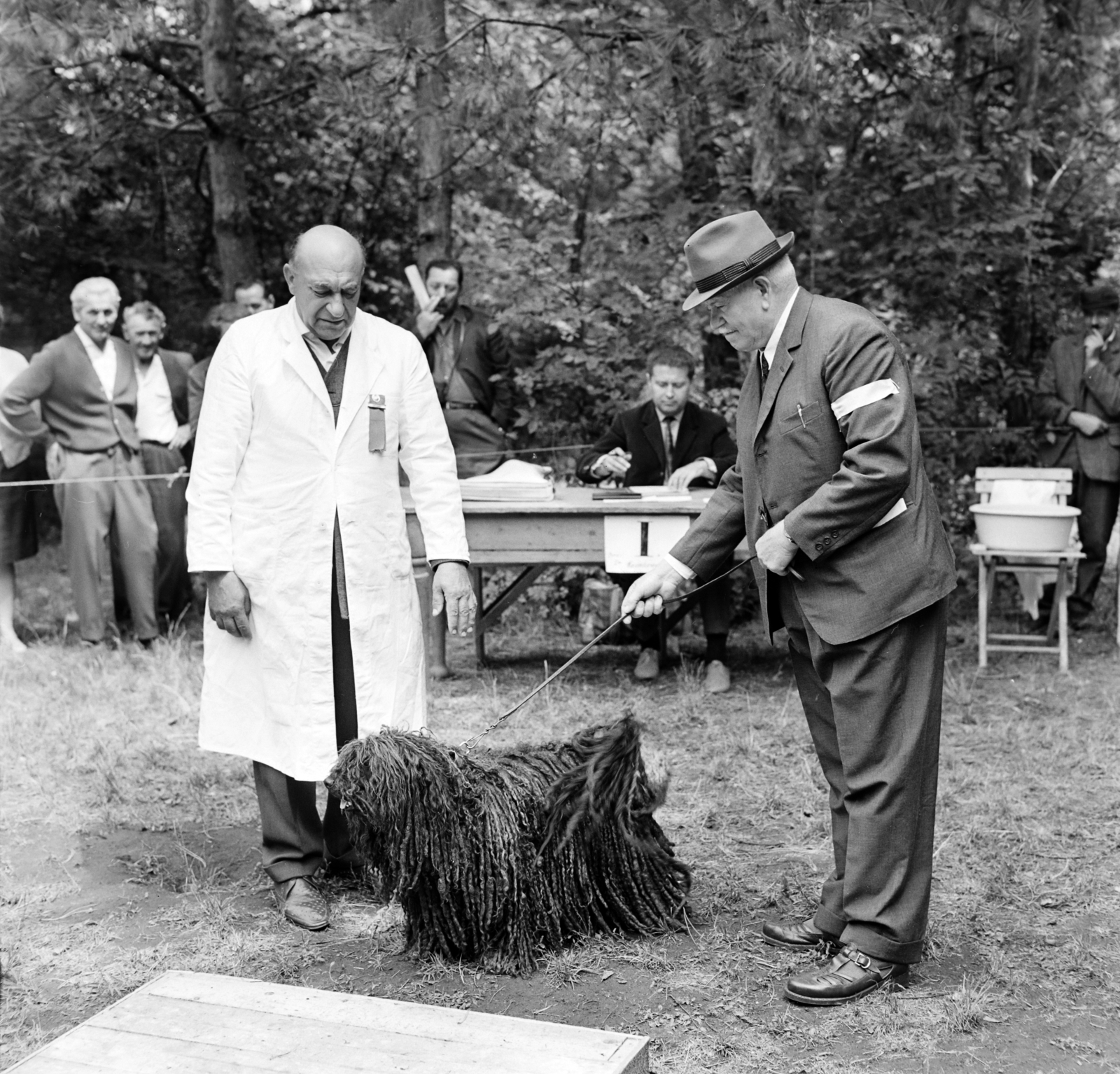 1965, Bojár Sándor, dog, Fortepan #177517