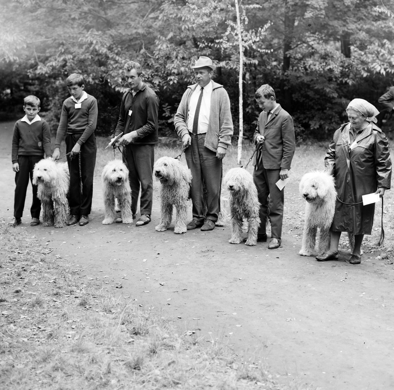 1965, Bojár Sándor, dog, Fortepan #177518