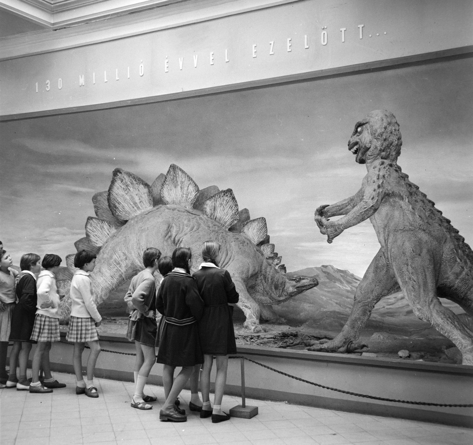 Hungary, Budapest VIII., Magyar Nemzeti Múzeum, A Föld és az élet fejlődéstörténete című kiállítás egyik diaporámája., 1963, Bojár Sándor, Budapest, Fortepan #177645