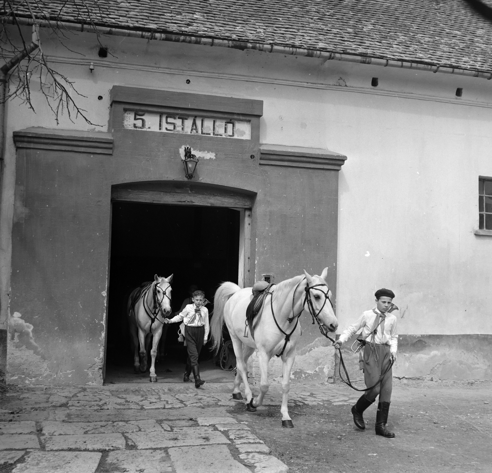 Magyarország, Bábolna, Ménesudvar, az 5. istálló előtt a bábolnai Állami Gazdaság lovas úttörő szakkörének tagjai., 1965, Bojár Sándor, Fortepan #177767