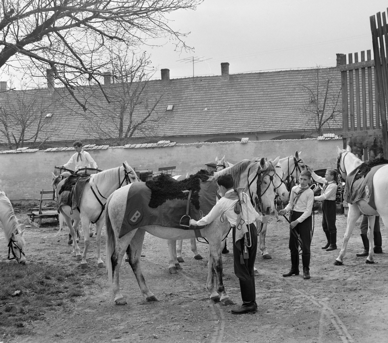Magyarország, Bábolna, Ménesudvar, a bábolnai Állami Gazdaság lovas úttörő szakkörének tagjai., 1965, Bojár Sándor, Fortepan #177768