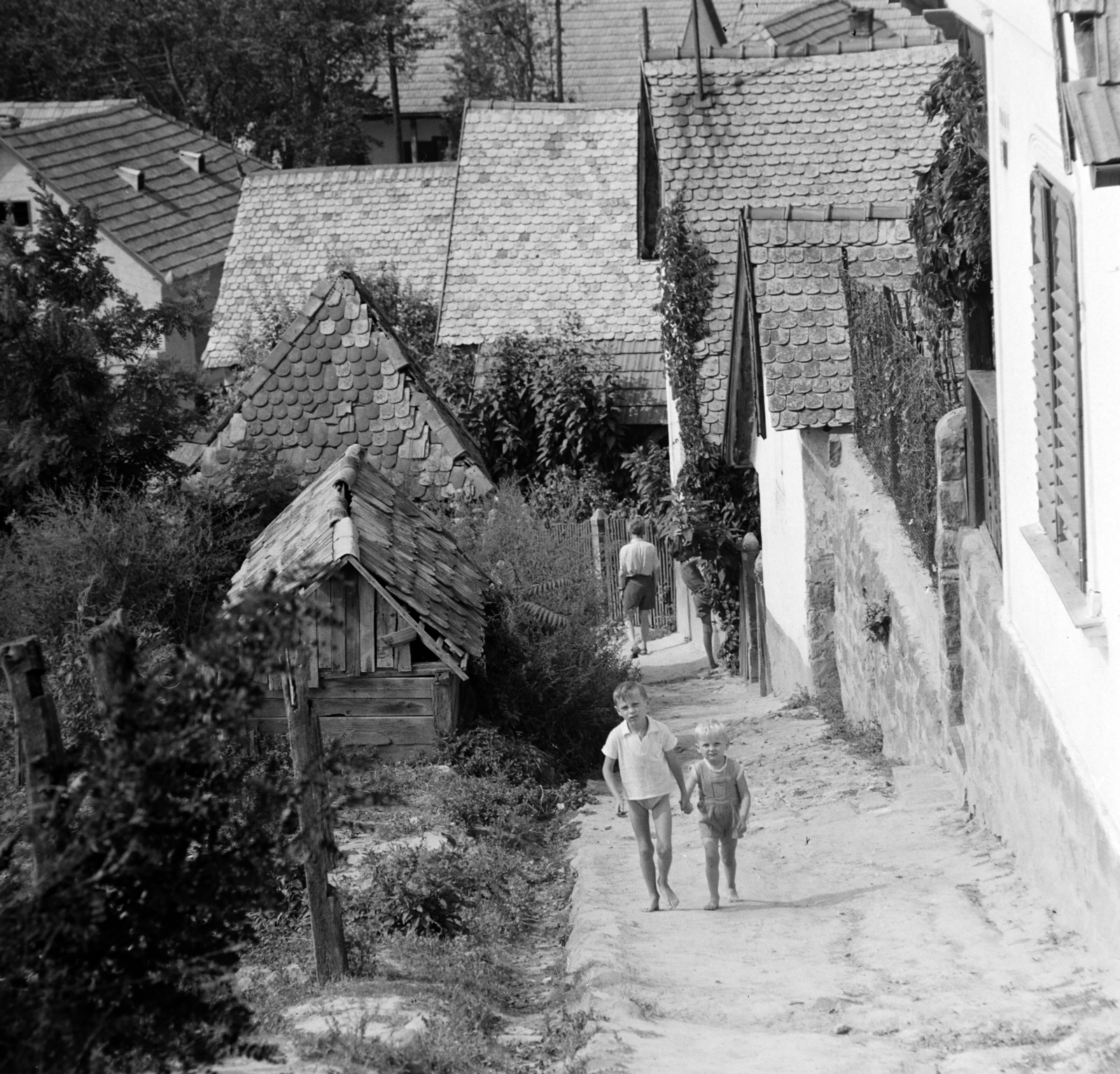 Hungary, Zebegény, Kálvária utca., 1964, Bojár Sándor, Fortepan #177941