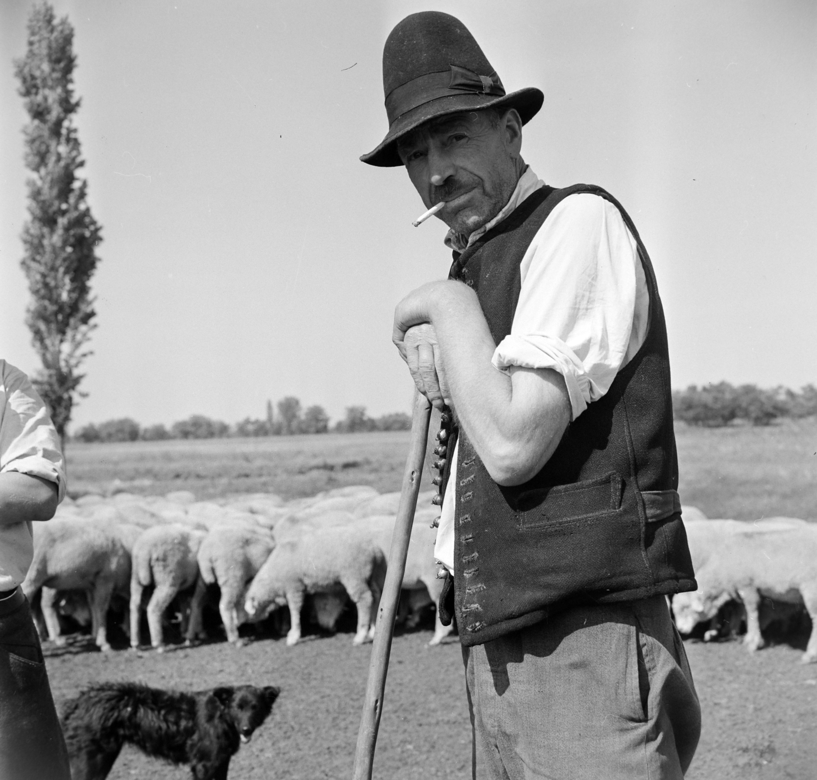 Hungary, Hortobágy, 1966, Bojár Sándor, Fortepan #177979