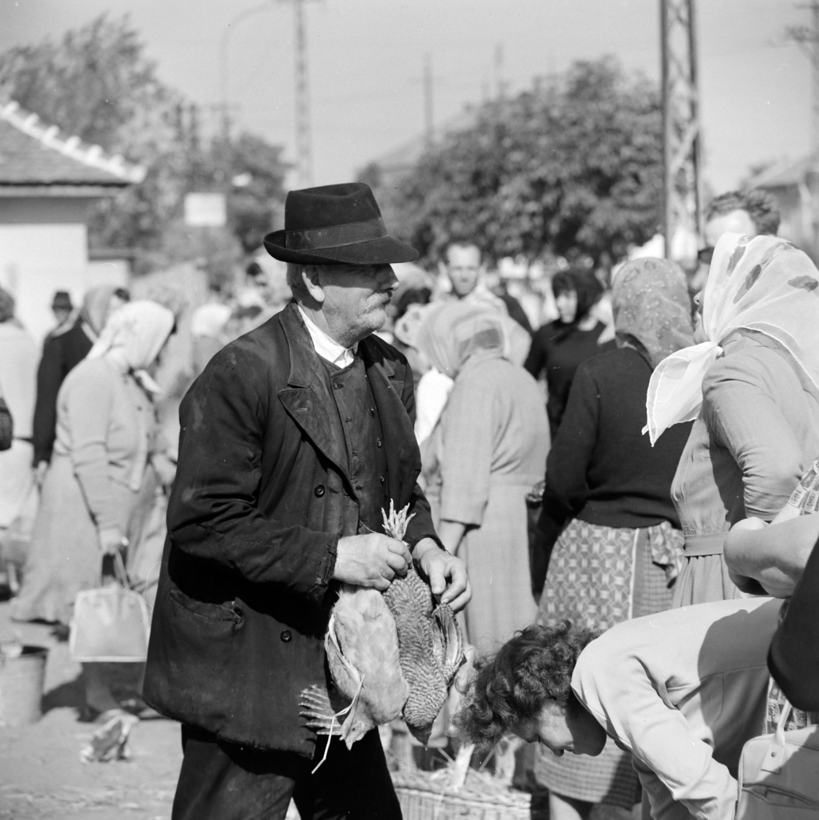 Magyarország, Nagykőrös, Kálvin tér, piac., 1965, Bojár Sándor, Fortepan #177991