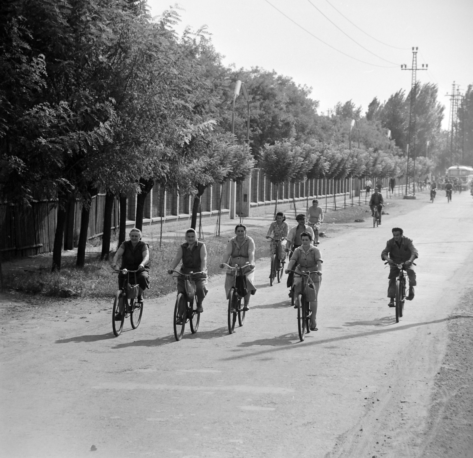 Hungary, Nagykőrös, 1965, Bojár Sándor, bicycle, Fortepan #177997