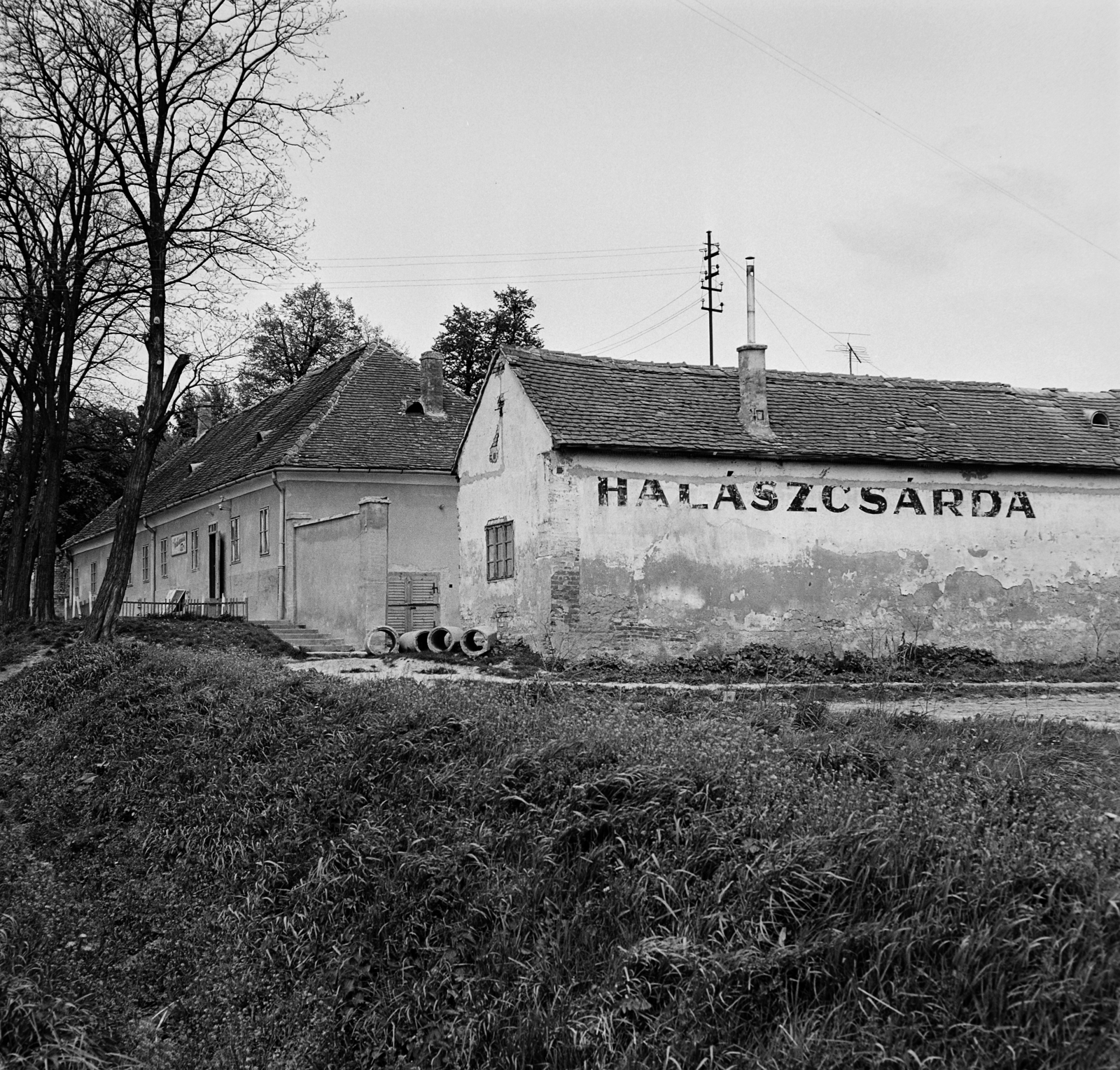 Magyarország, 1969, Bojár Sándor, csárda, Fortepan #178043