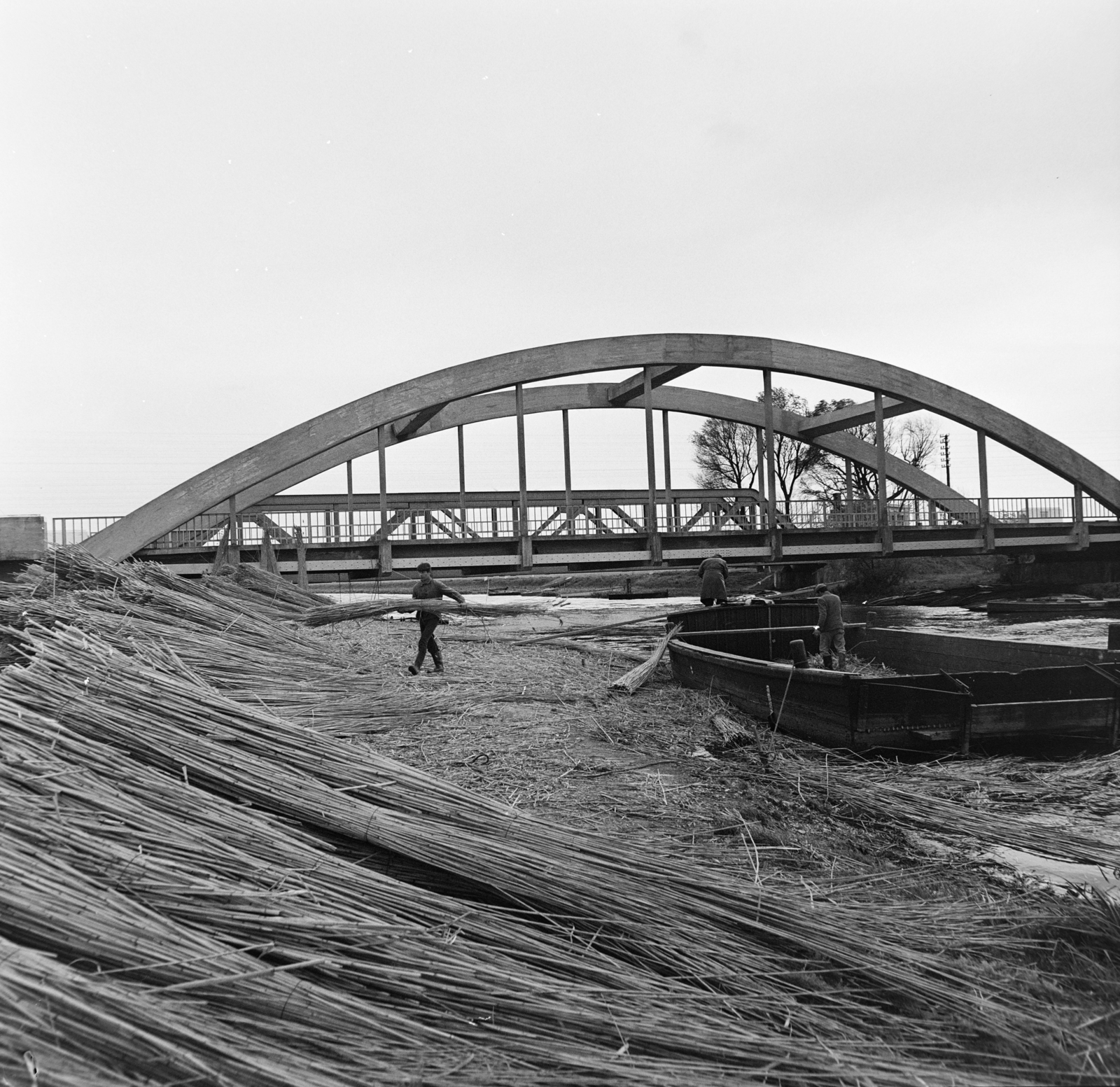 Magyarország,Balaton, Keszthely, a Zala folyó Fenékpuszta határában, közúti (később gyalogos és közműhíd) mögötte a vasúti híd., 1969, Bojár Sándor, nádkéve, Fortepan #178046