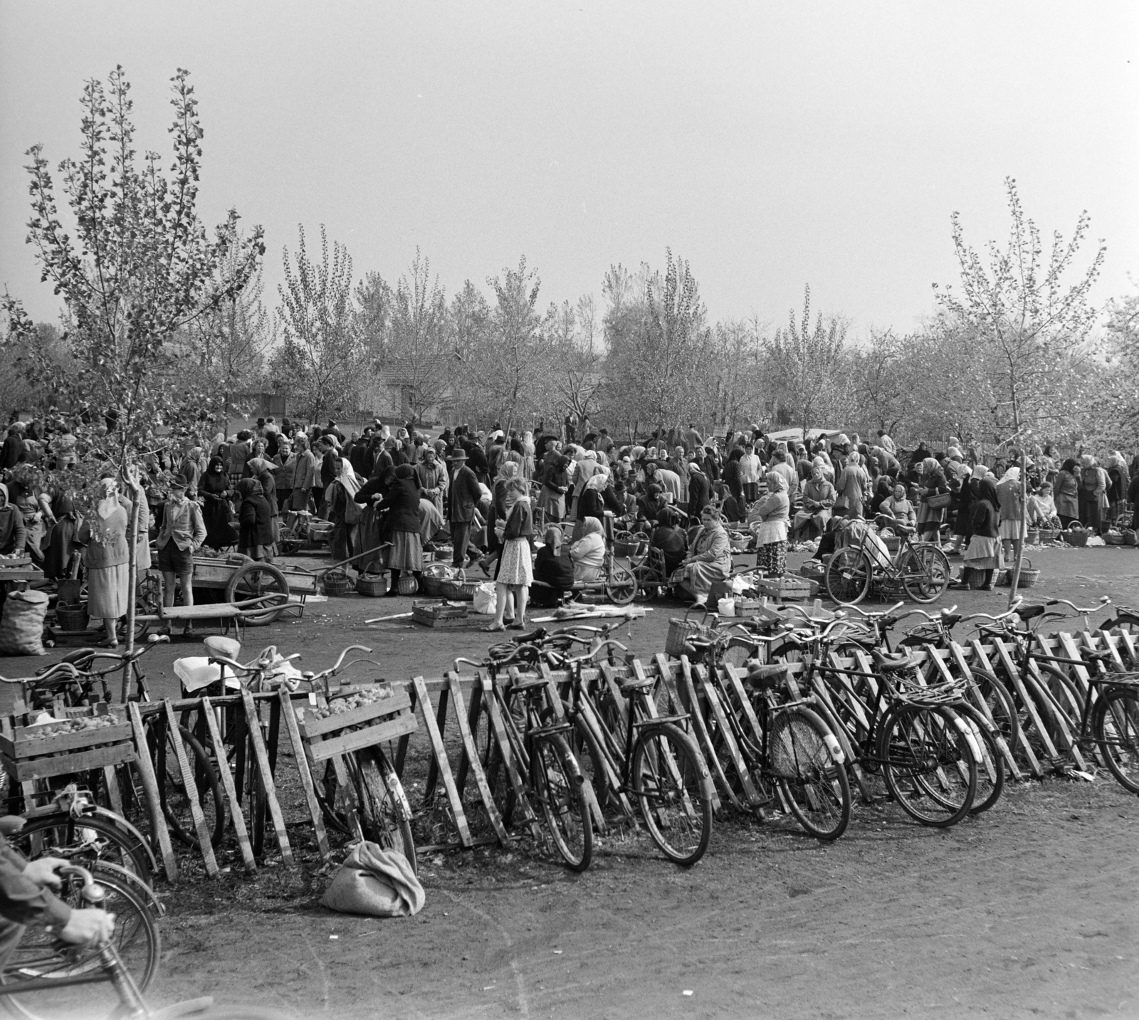 Hungary, Tiszakécske, 1963, Bojár Sándor, Fortepan #178132