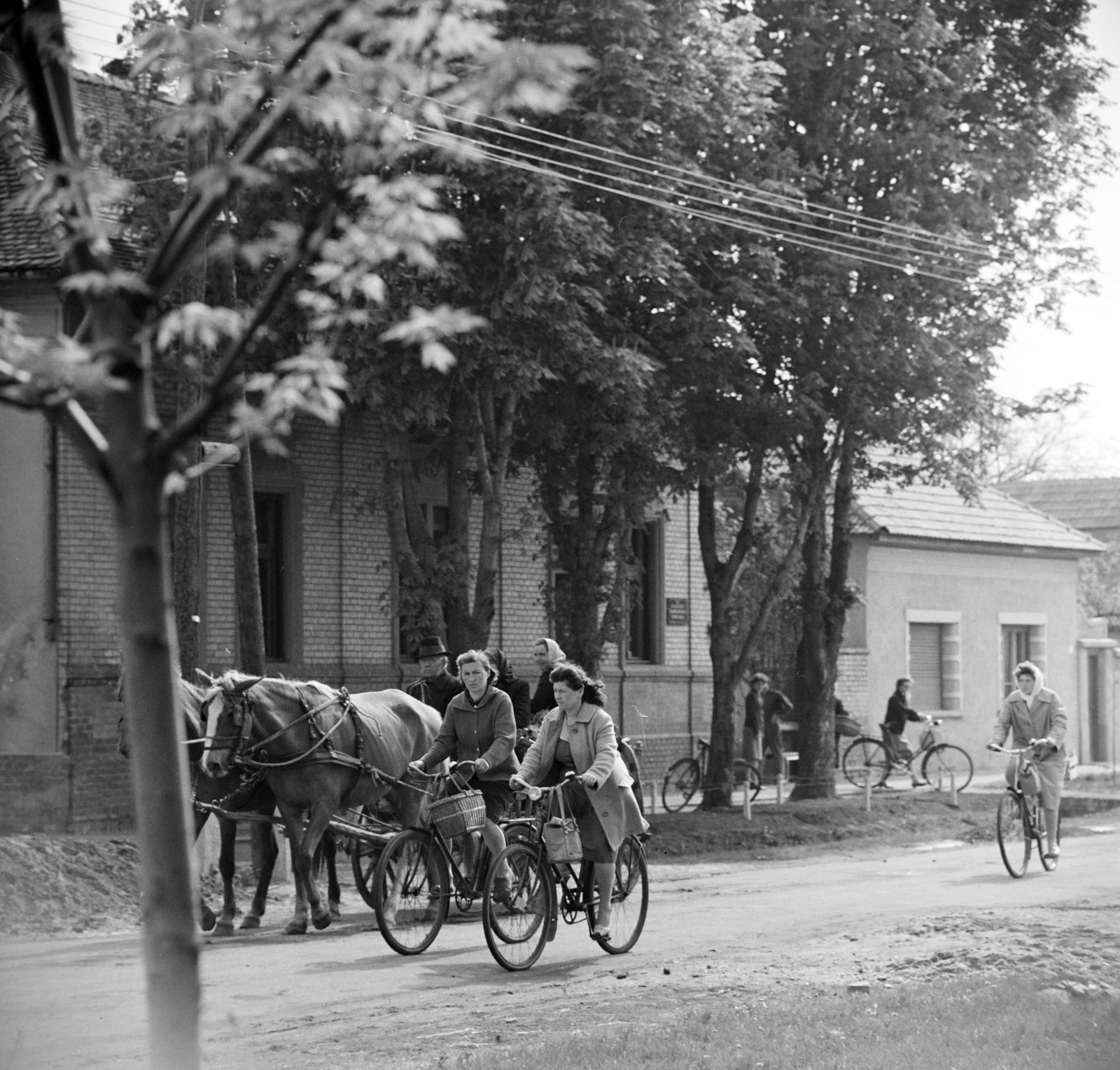 Magyarország, Tiszakécske, 1963, Bojár Sándor, kerékpár, Fortepan #178138