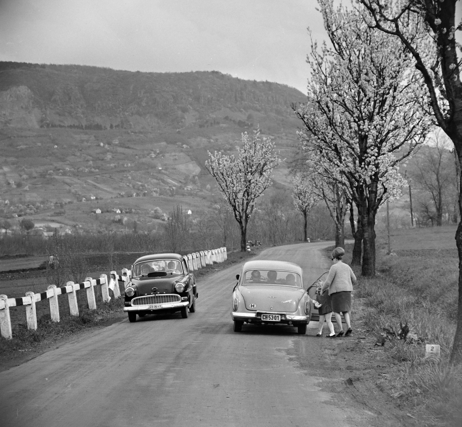 Magyarország,Balaton, Badacsonytördemic, 71-es főút, háttérben a Badacsony., 1967, Bojár Sándor, Wartburg 311/312, rendszám, Opel Rekord, Fortepan #178153