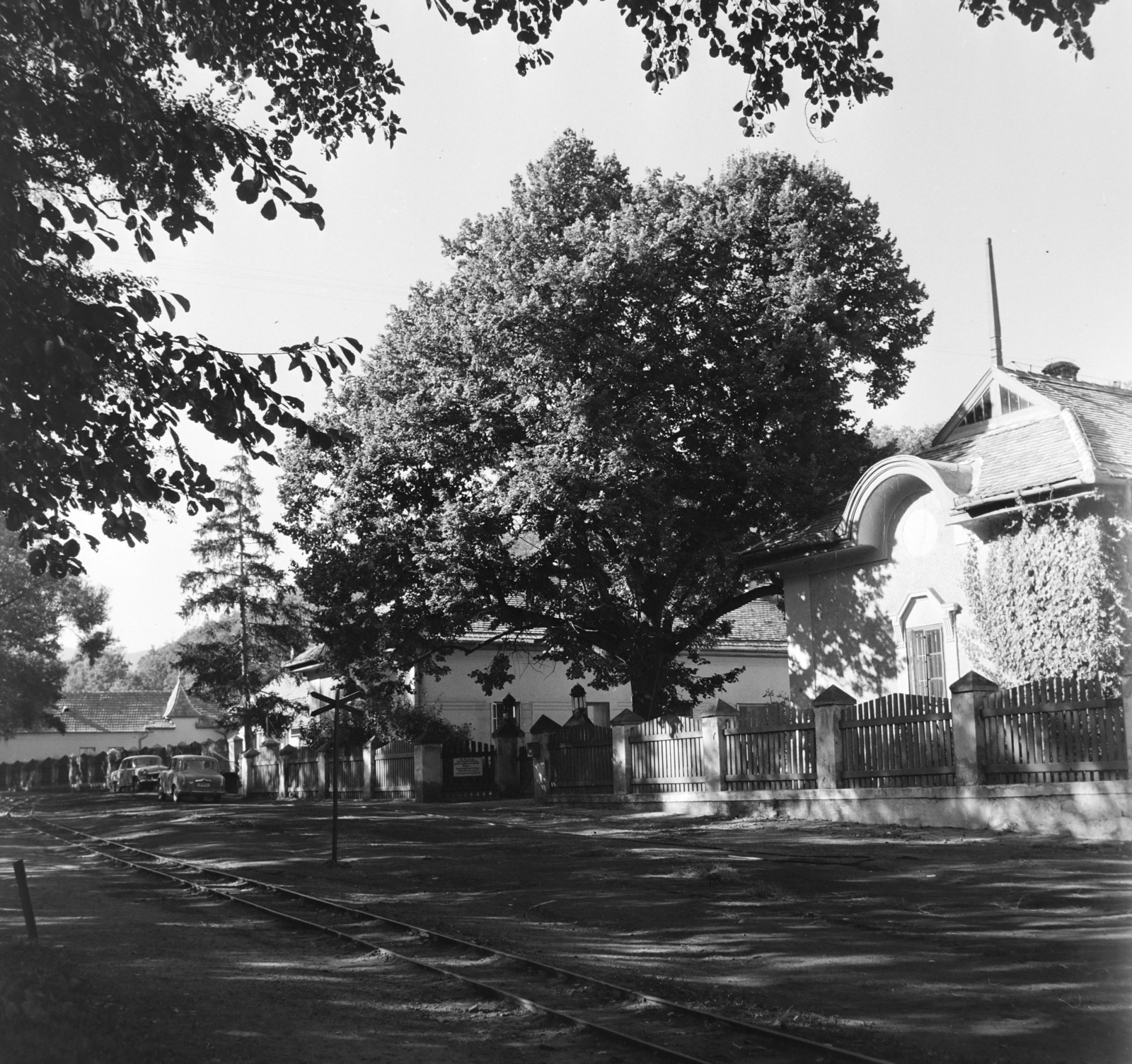 Hungary, Szokolya, Királyrét, a Fővárosi Tanács üdülője (eredetileg grófi kastély, ma Királyrét Hotel)., 1961, Bojár Sándor, Fortepan #178176