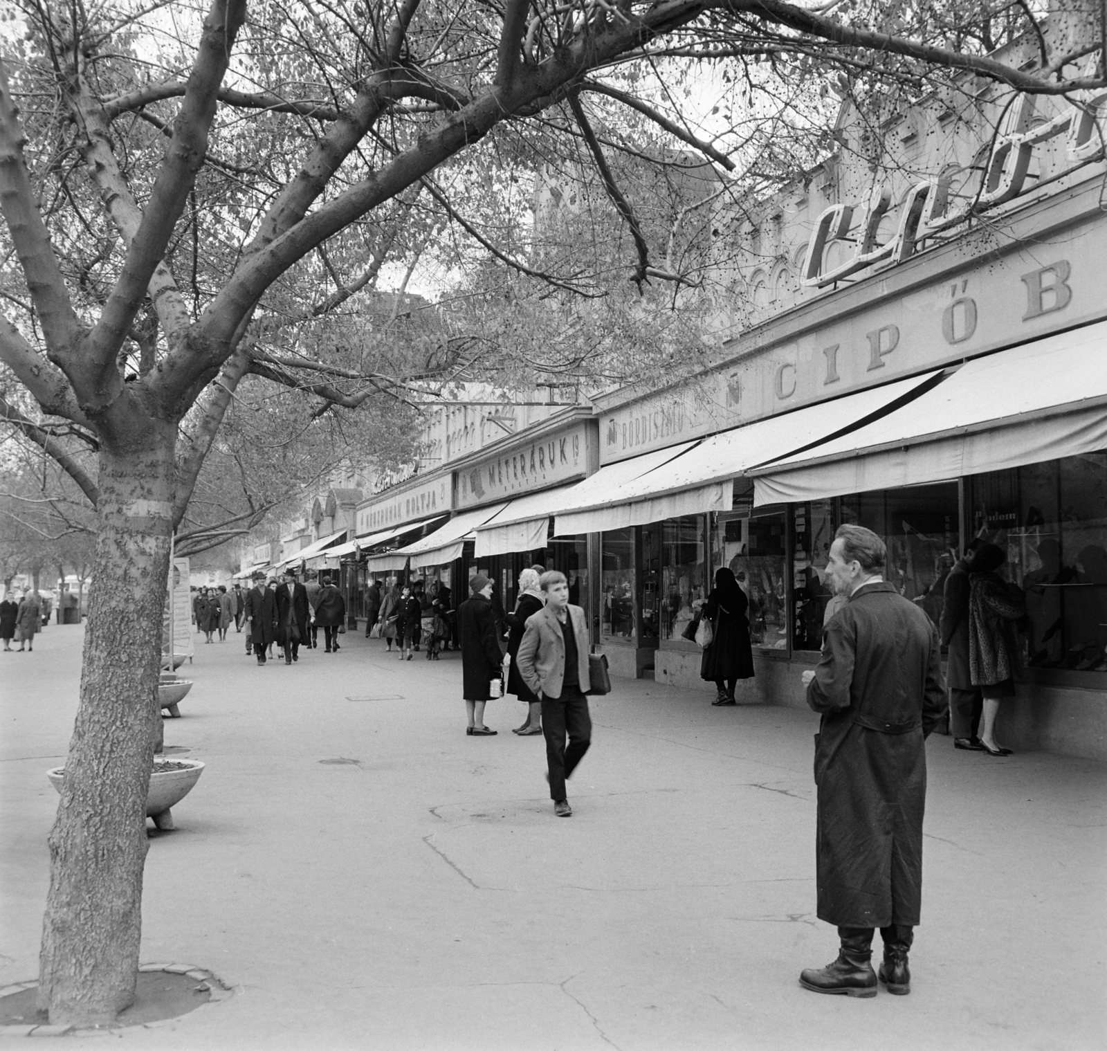 Hungary, Szekszárd, Szent István tér (Mártírok tere), Korzó sor, szemben a Kaszinó bazár., 1964, Bojár Sándor, Fortepan #178195