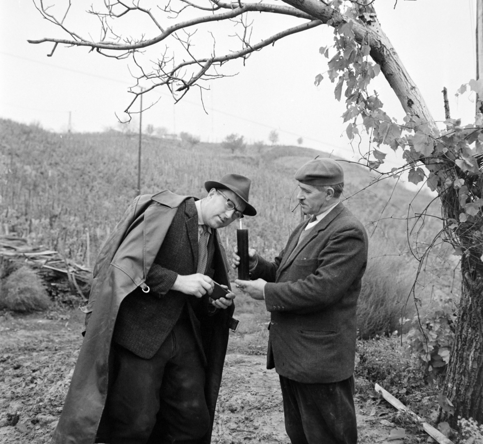 Hungary, Szekszárd, cukorfok mérés szüret előtt a Szekszárdi-dombvidéken., 1964, Bojár Sándor, Fortepan #178238