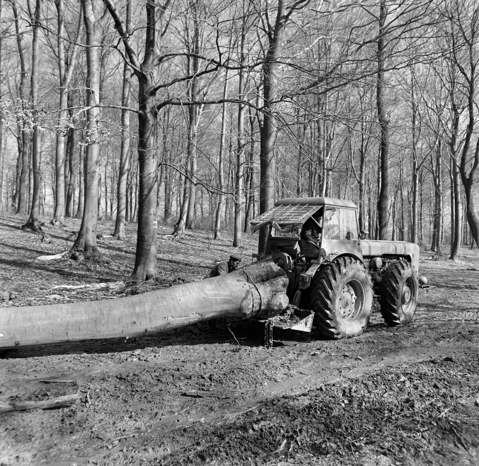 Hungary, Heréd, 1965, Bojár Sándor, tractor, Fortepan #178263